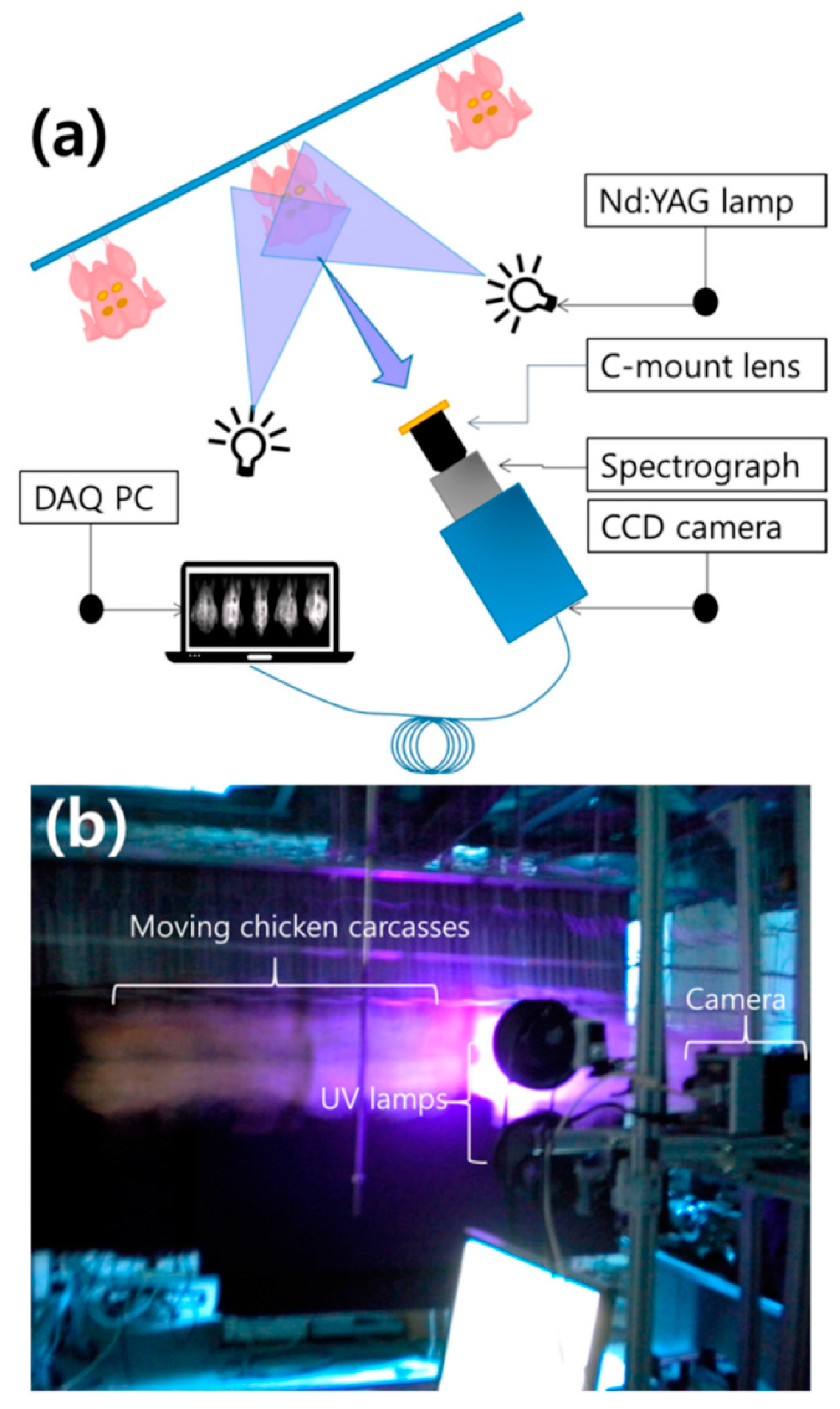 Biosensors 12 00076 g006 Biosensors 12 00076 g006