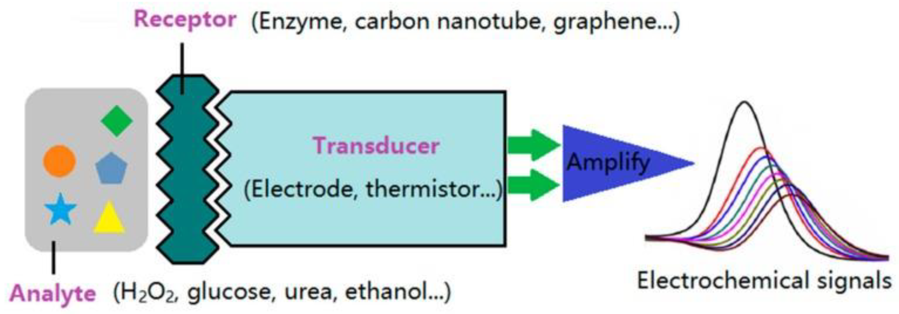 Biosensors 12 00077 g001