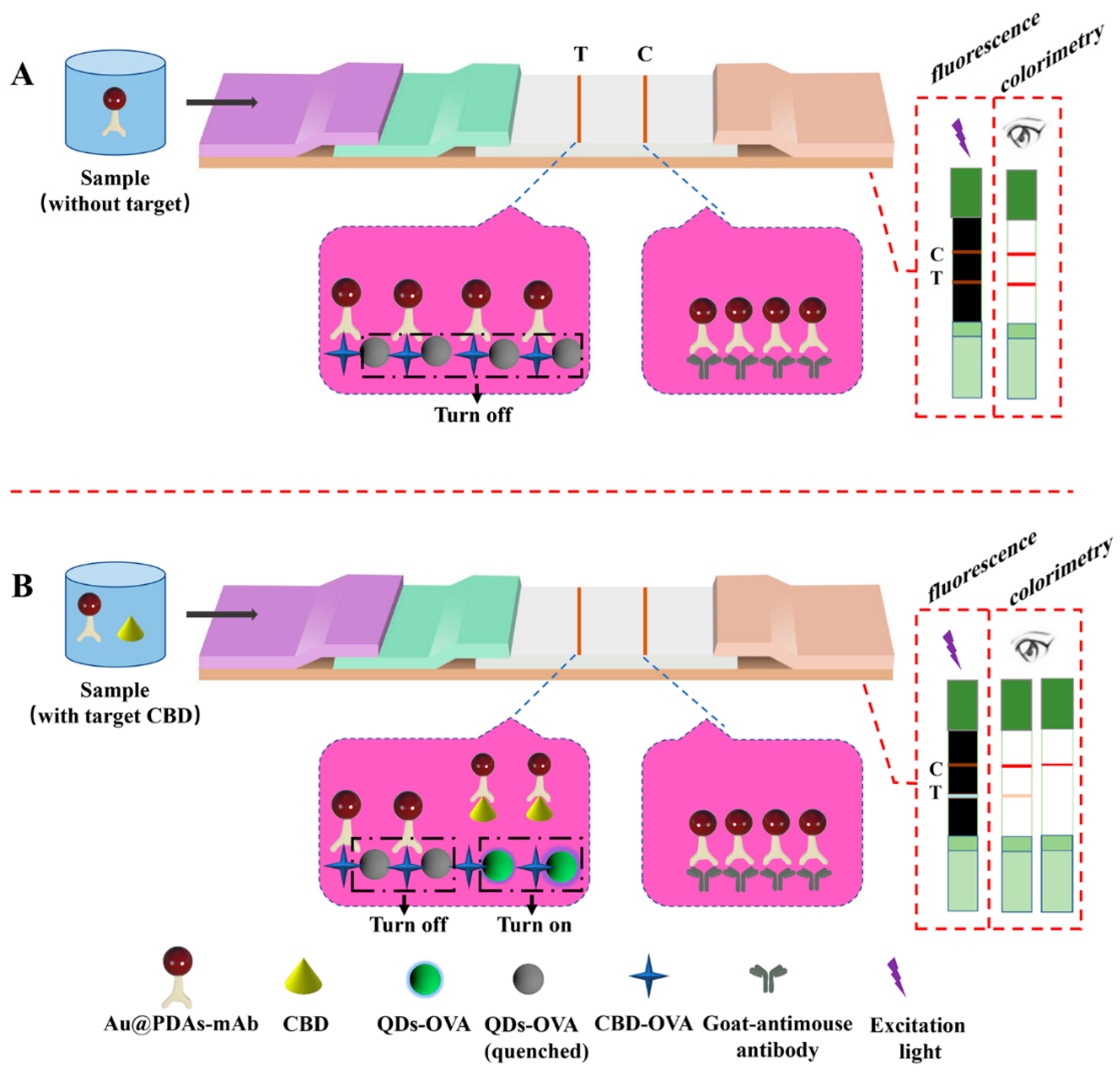 Biosensors 12 00083 g002