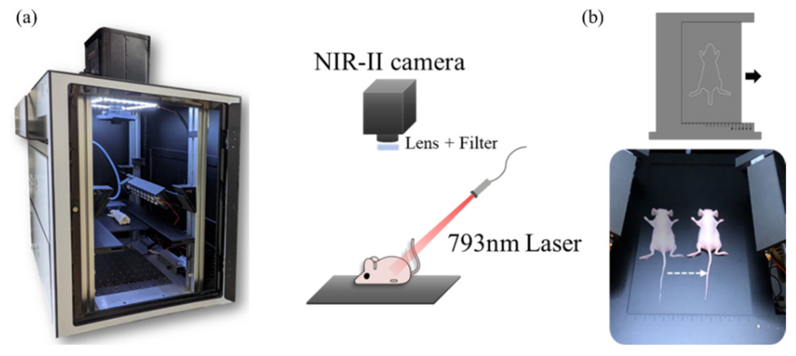 Biosensors | Free Full-Text | Development of Stereo NIR-II