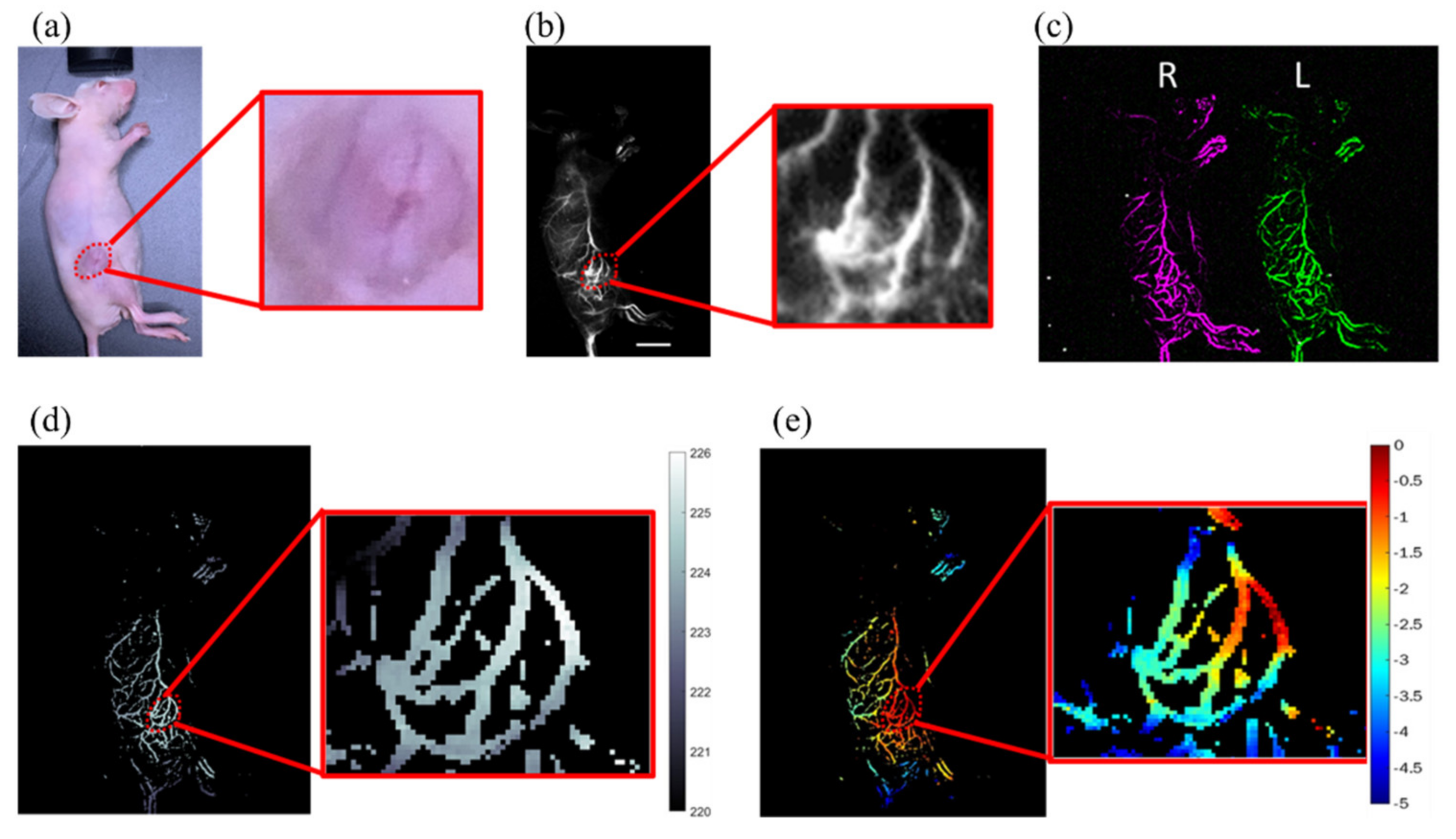 Biosensors 12 00085 g007 550
