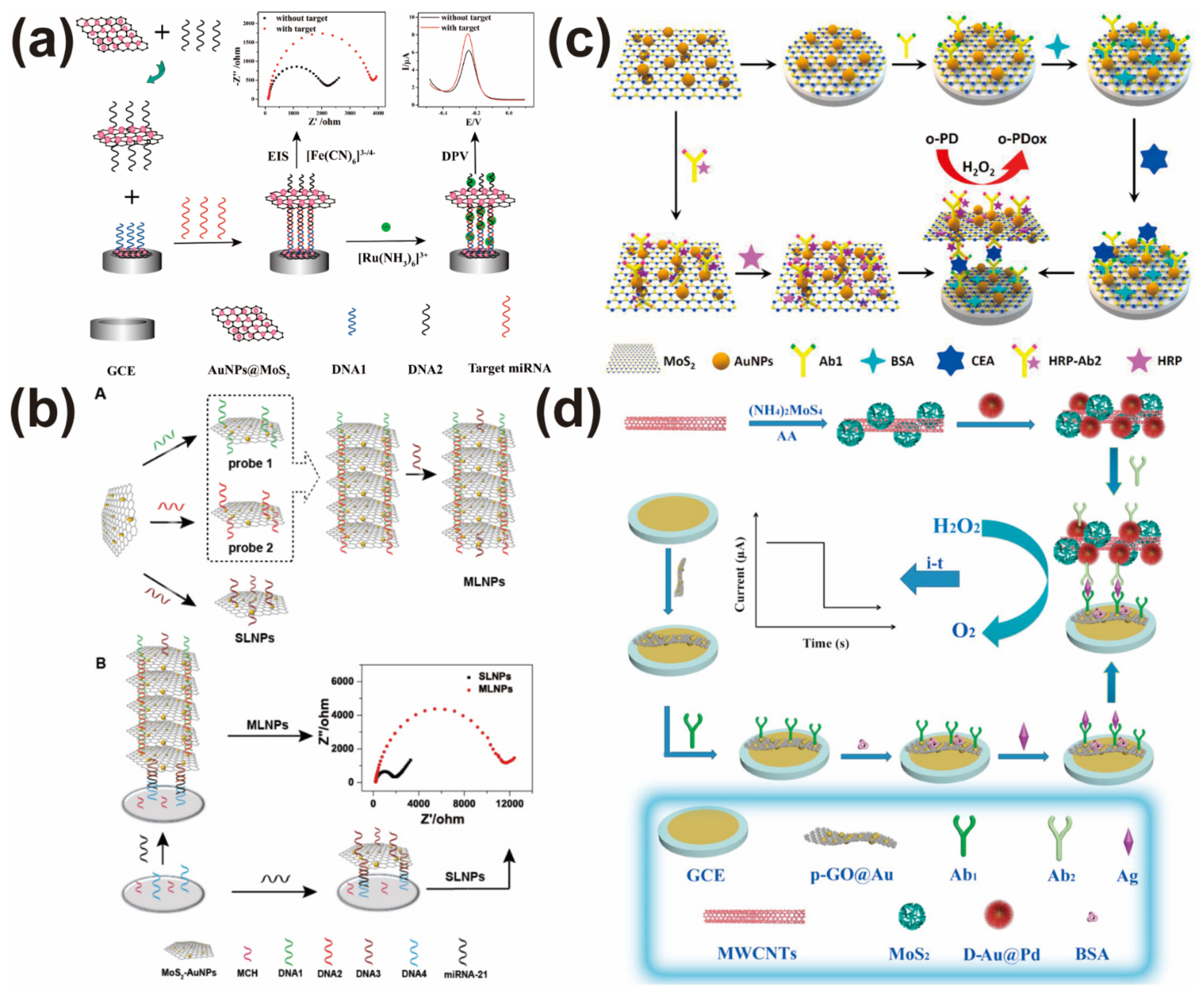 Biosensors 12 00087 g002