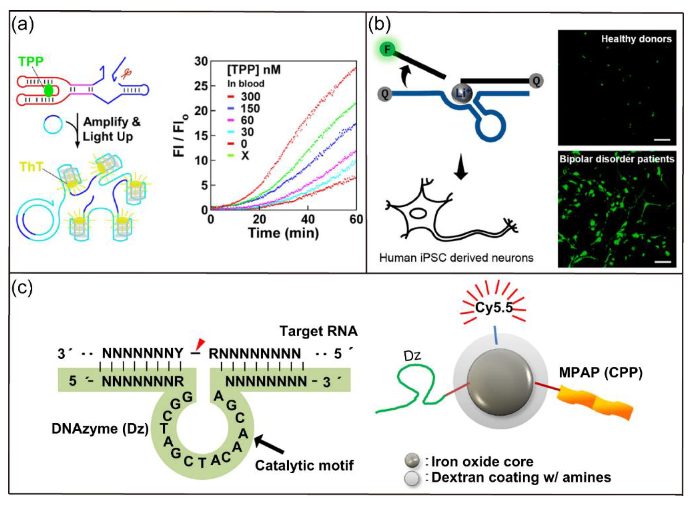 Biosensors | Free Full-Text | Nucleic Acids and Their Analogues 
