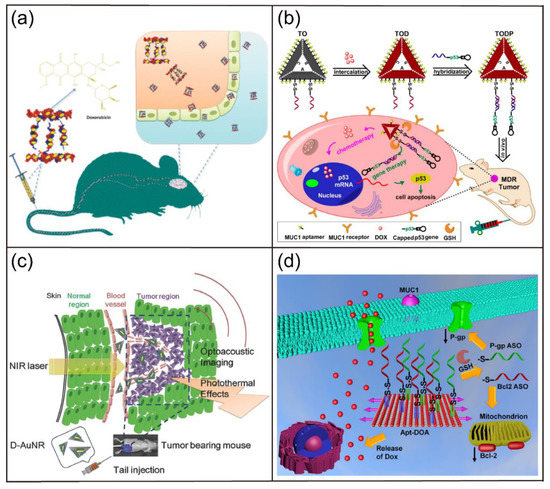 Elongation factor P modulates Acinetobacter baumannii