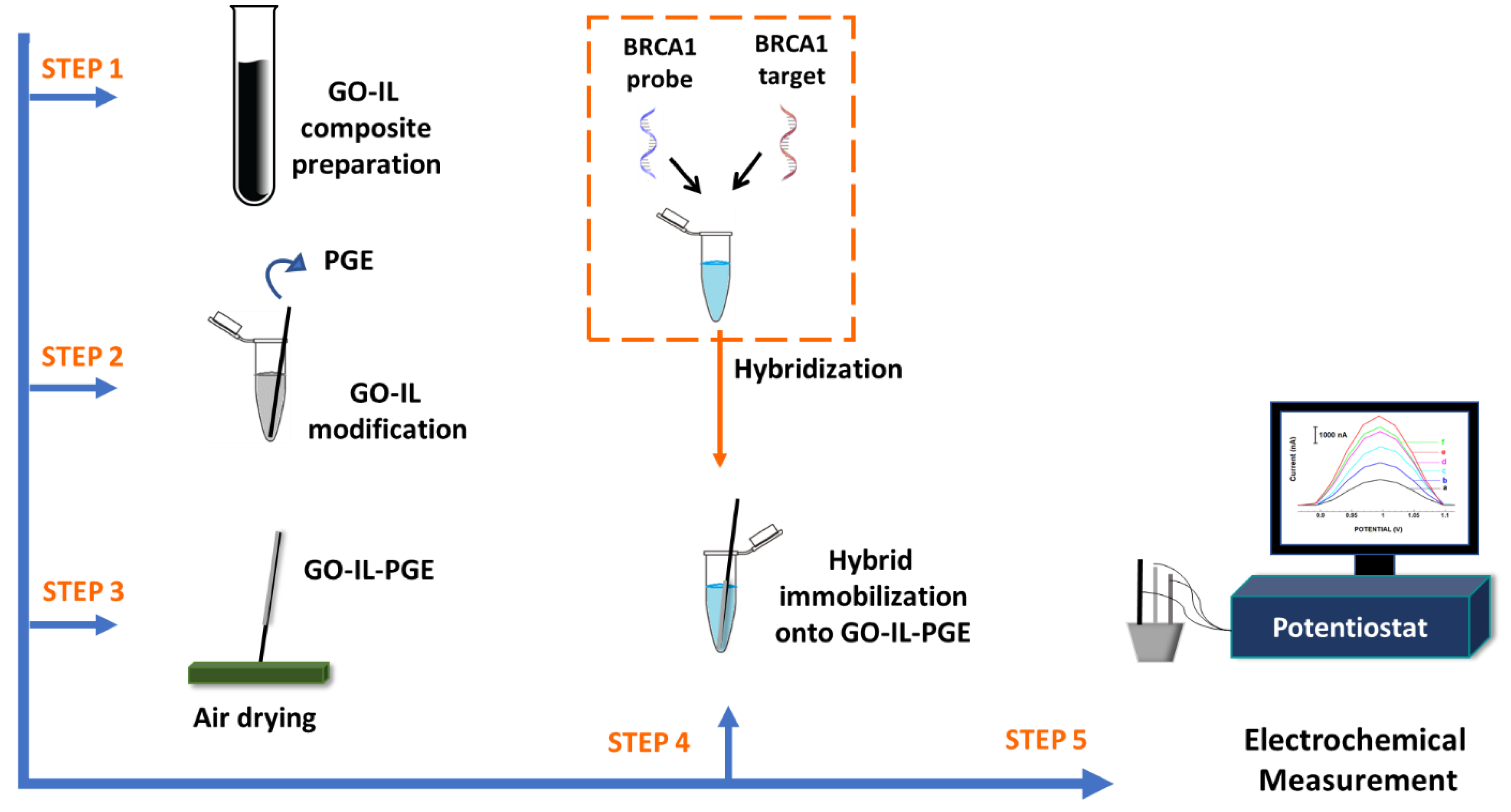 Biosensors 12 00095 g001 550