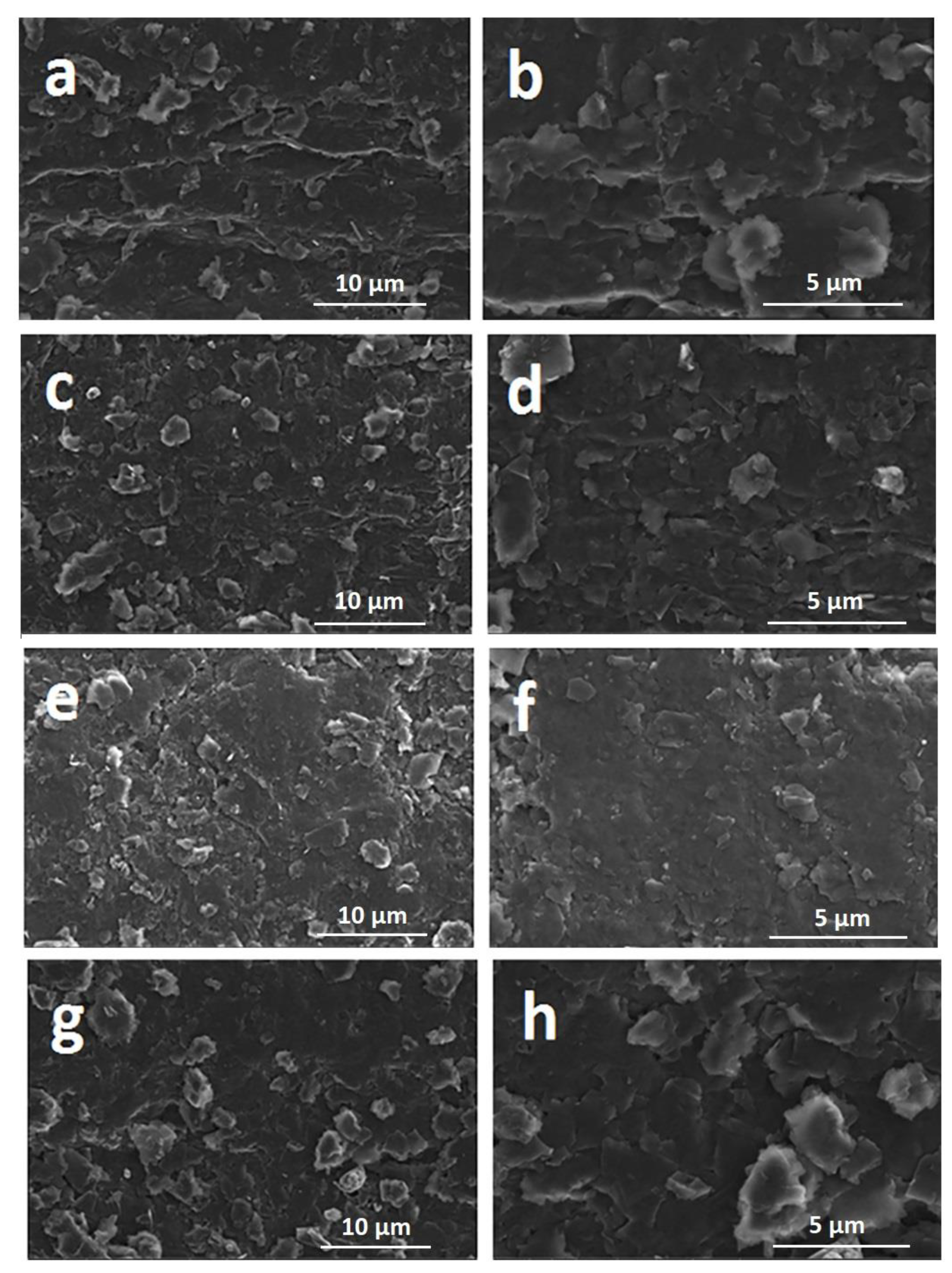 Biosensors 12 00095 g002 550