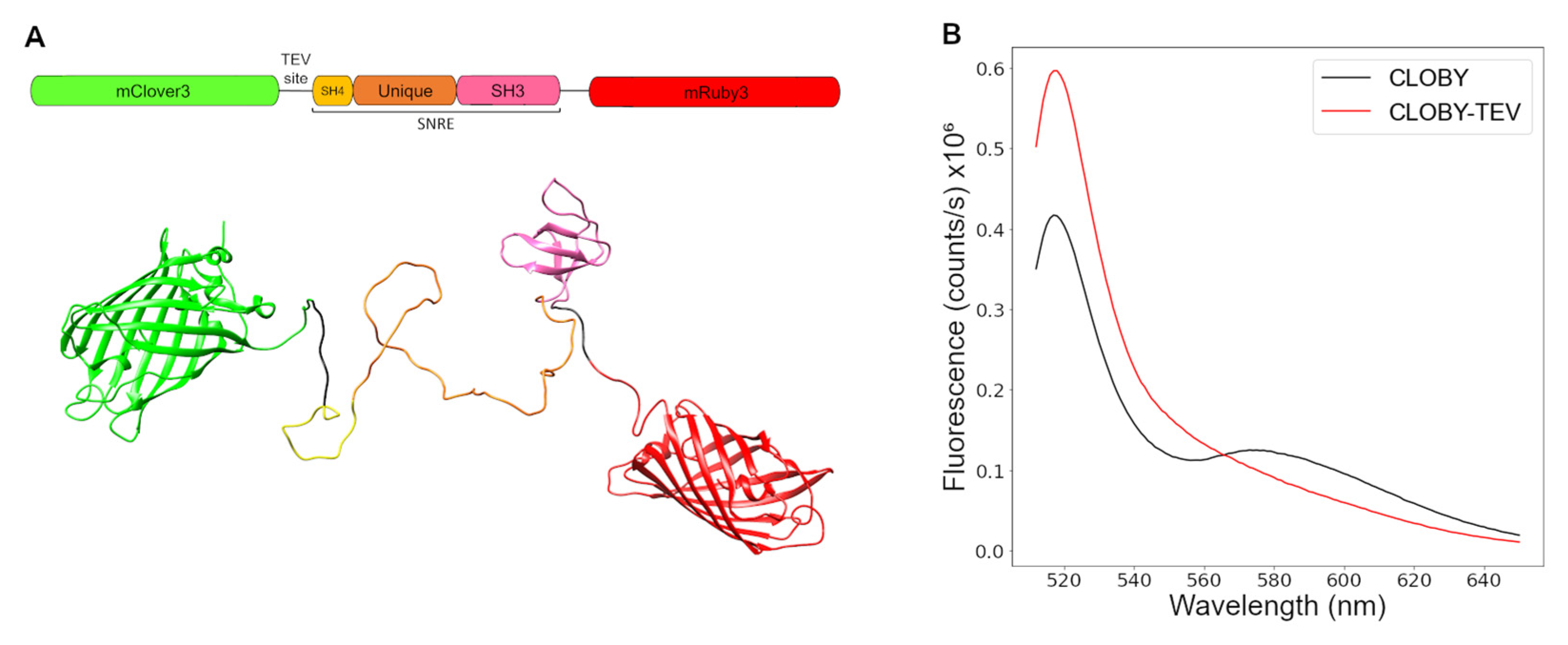 Biosensors 12 00096 g001