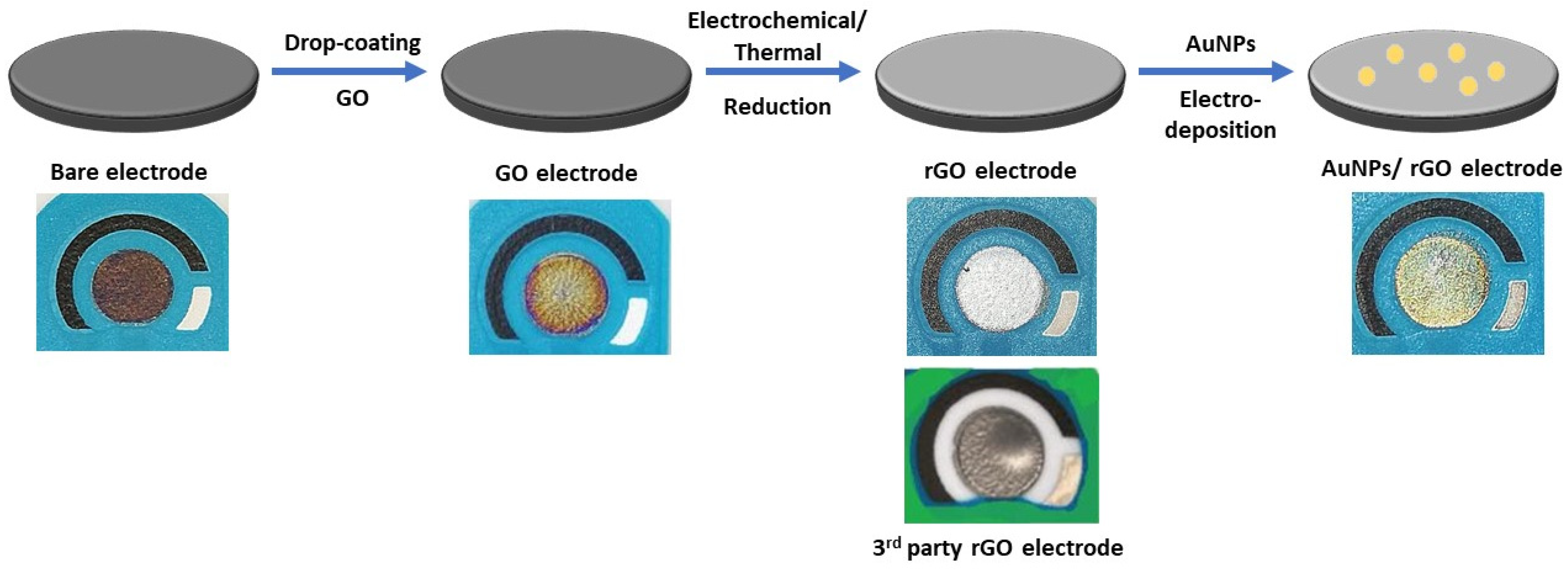 Biosensors 12 00098 g0a1 550