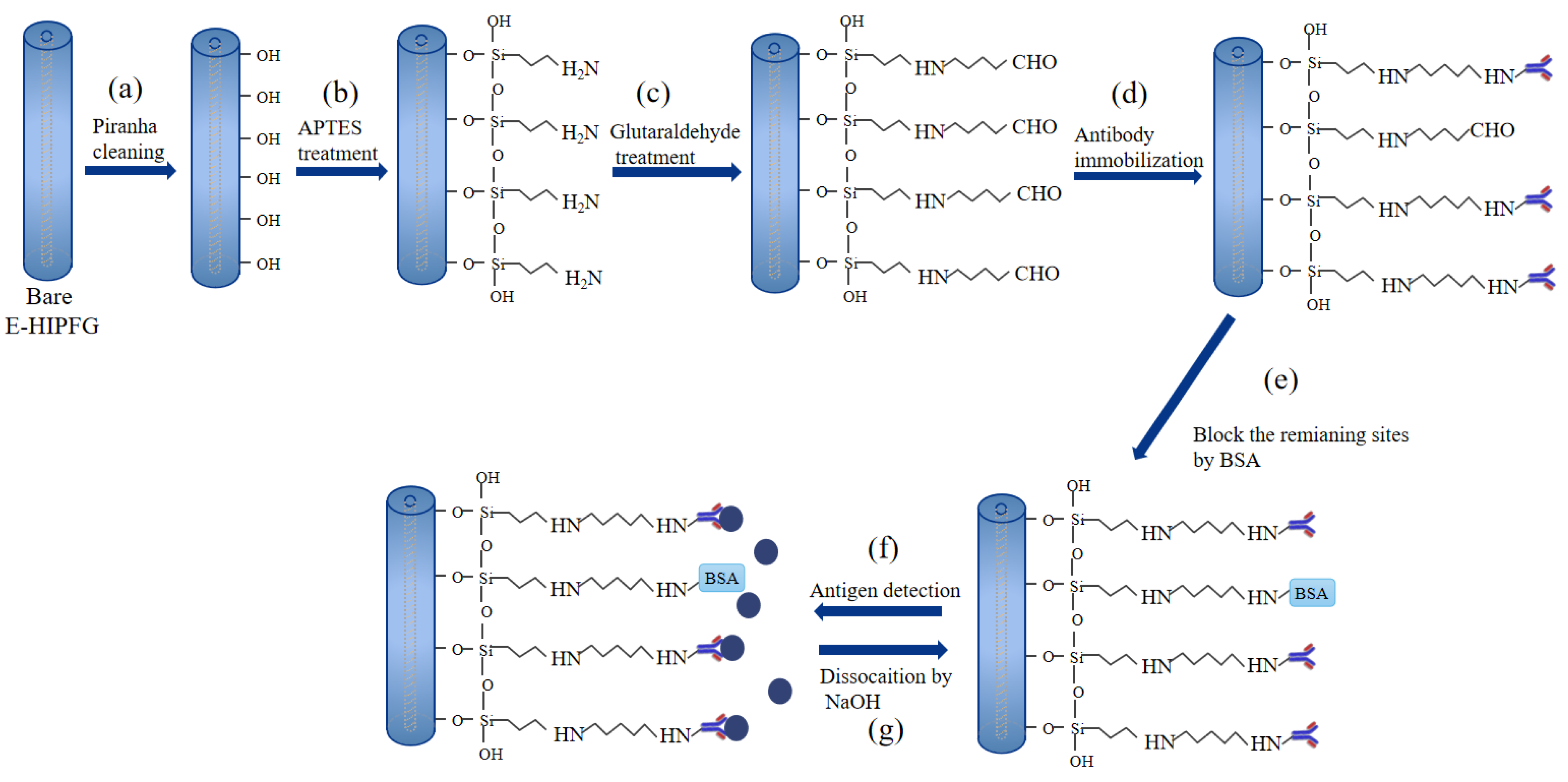 Biosensors 12 00099 g001 Biosensors 12 00099 g001