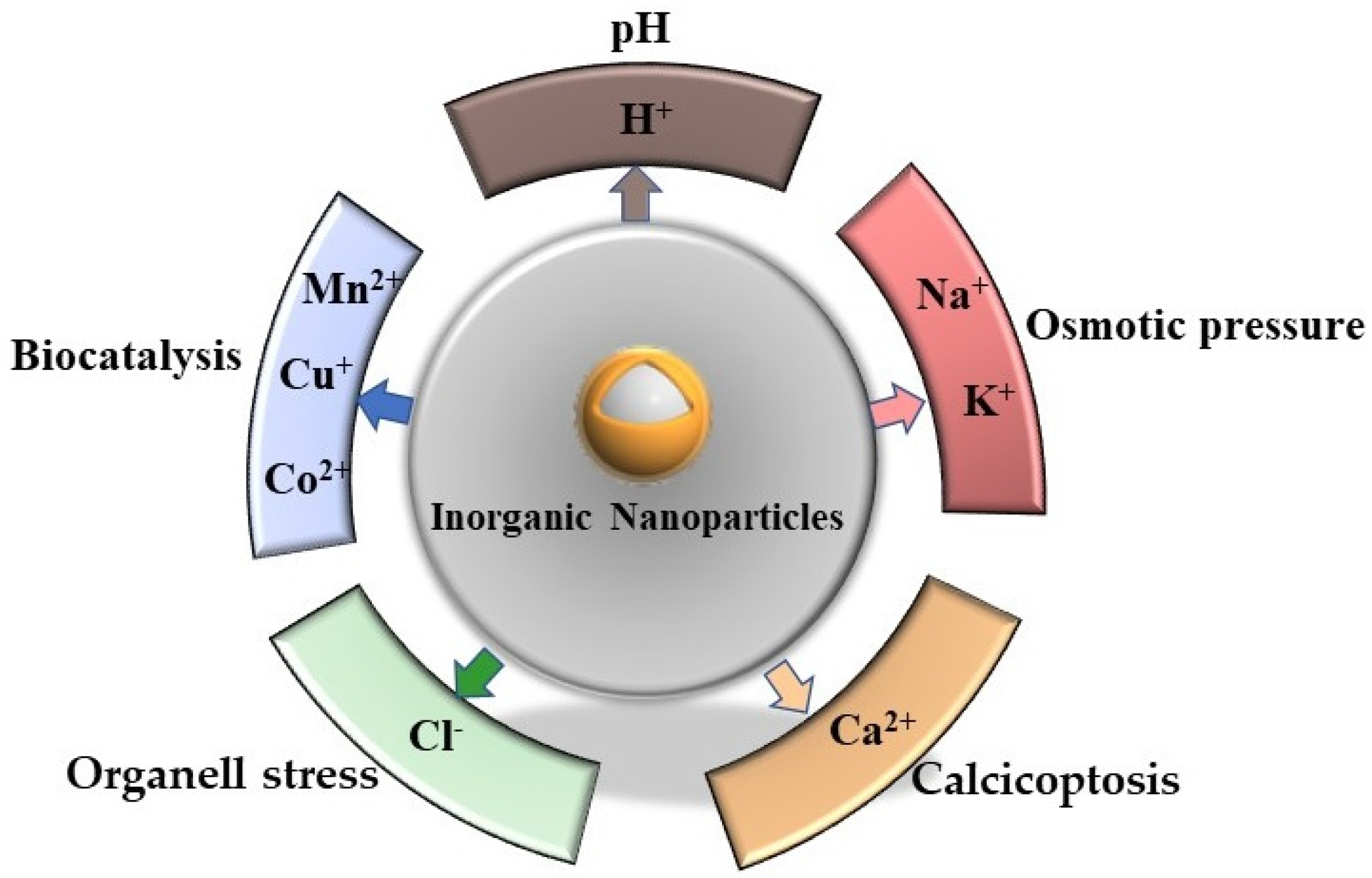 Biosensors 12 00100 g001