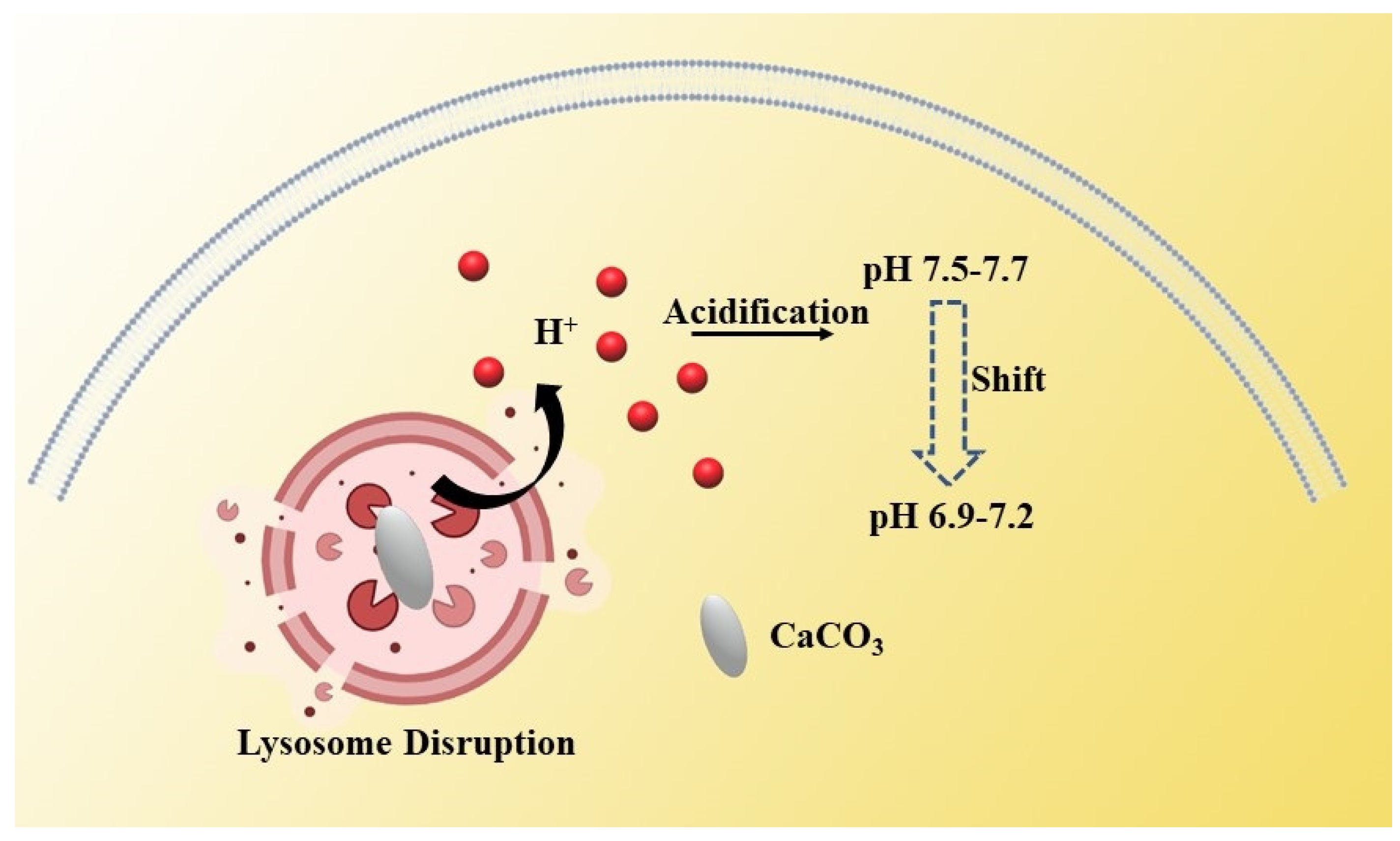 Biosensors 12 00100 g002