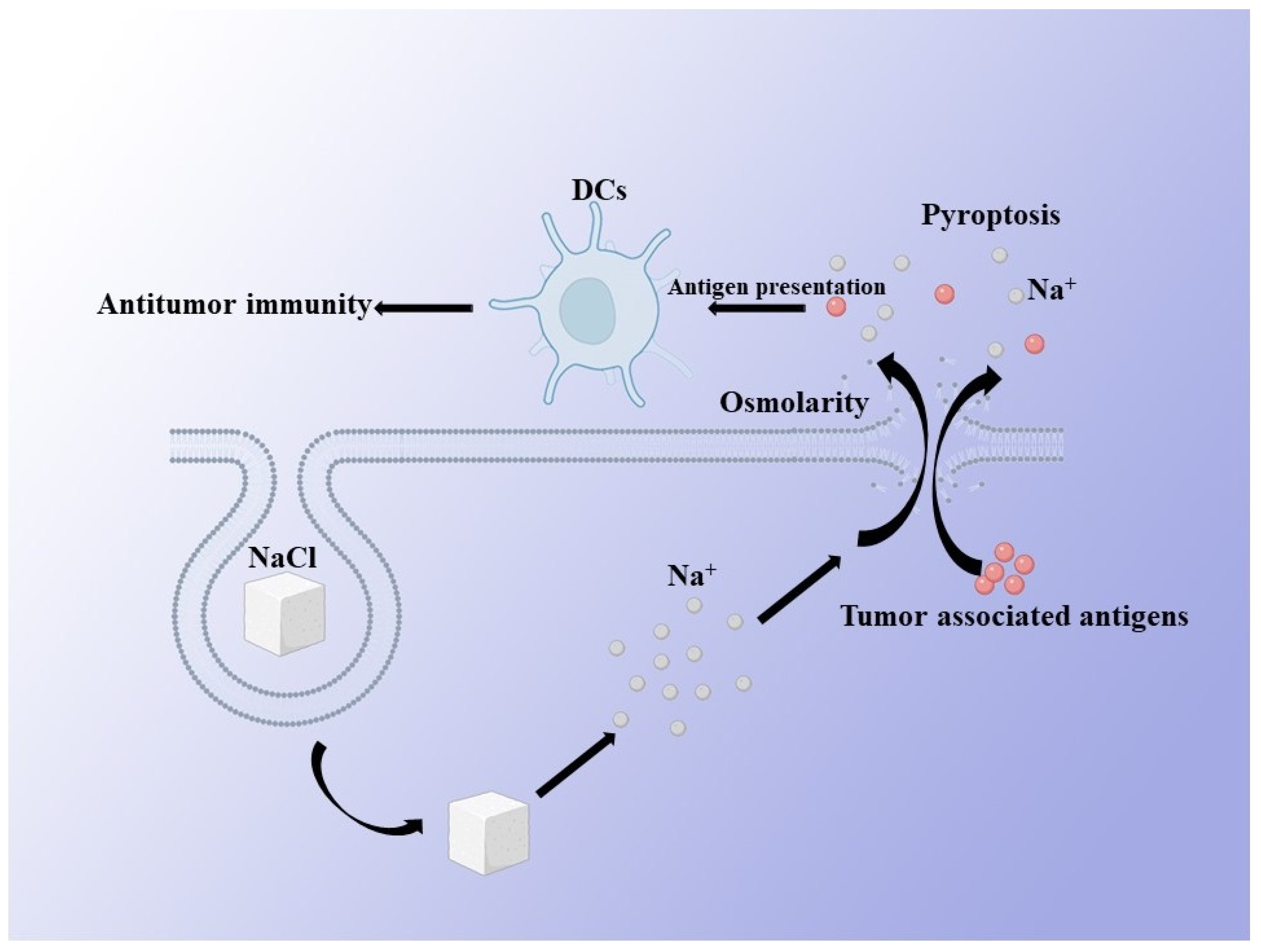 Biosensors 12 00100 g003