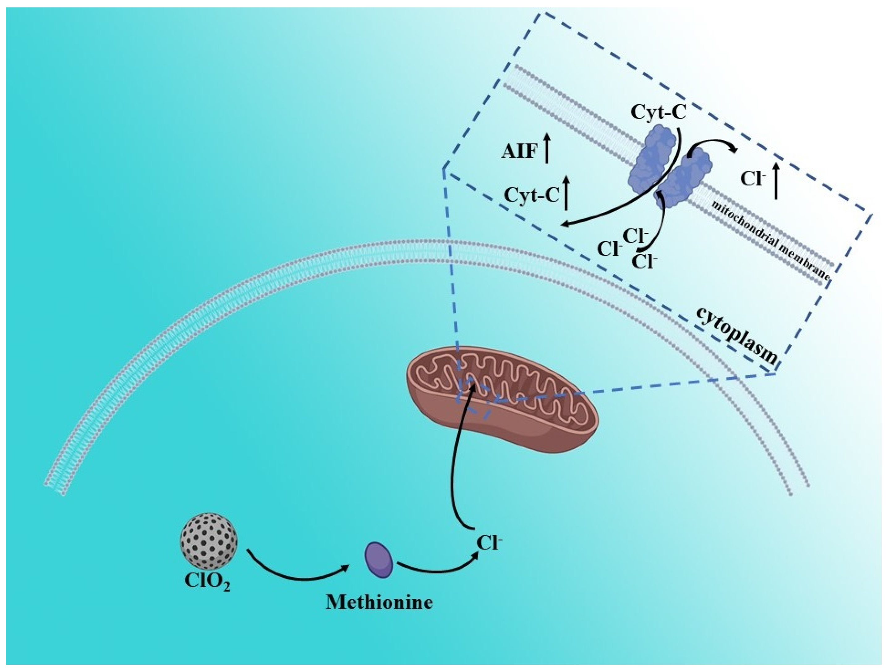 Biosensors 12 00100 g005