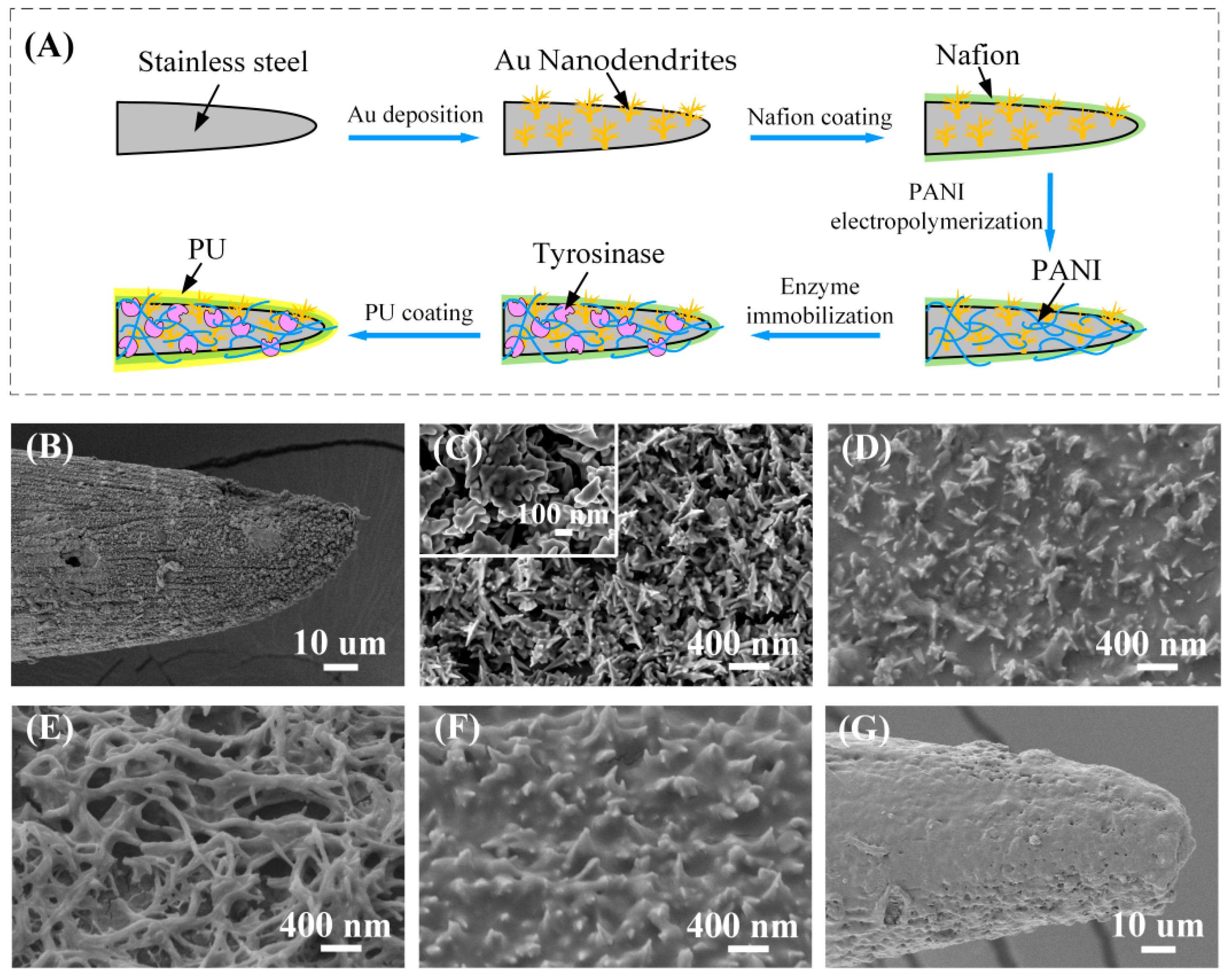 Biosensors 12 00102 g002