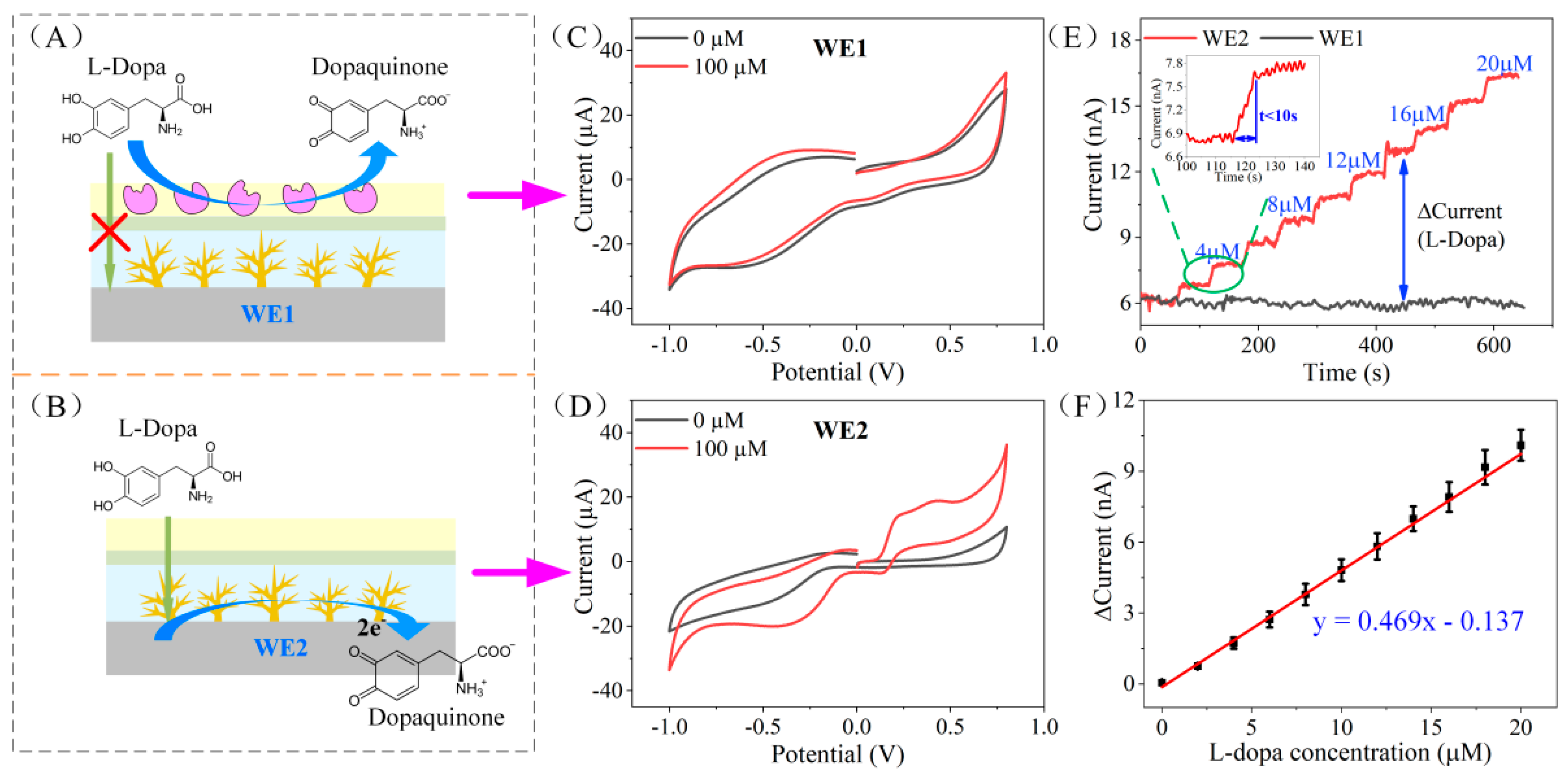 Biosensors 12 00102 g003