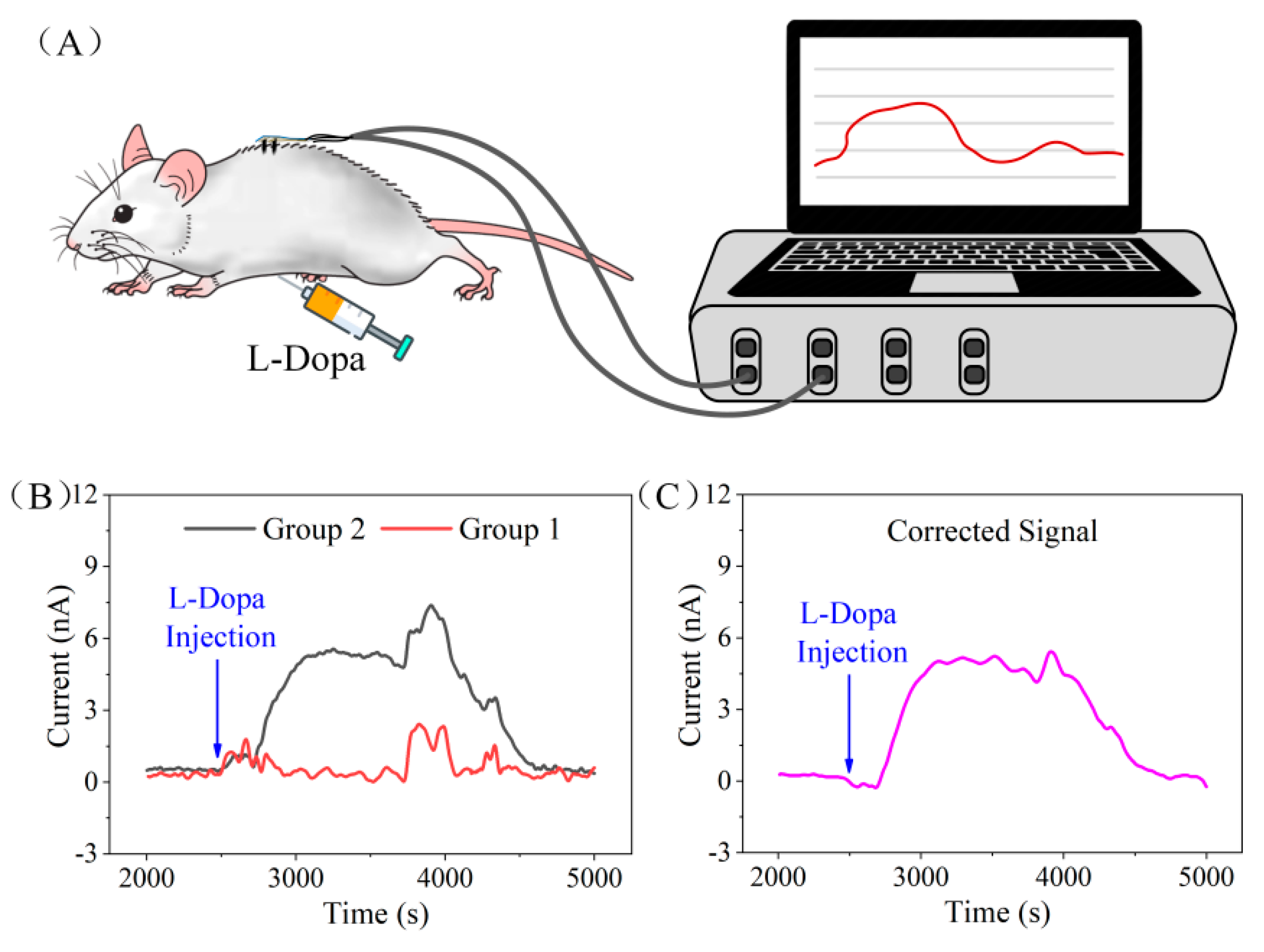 Biosensors 12 00102 g006