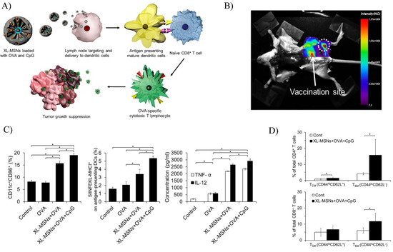 ああ Amazon.com | adidas Originals ZX 8000 Boost Men's Sneakers
