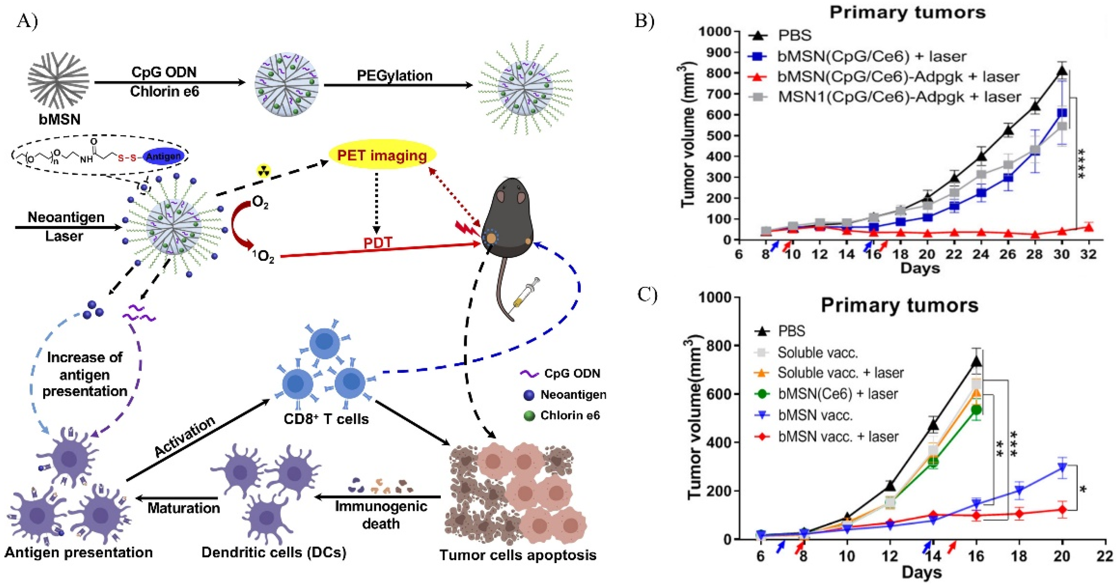 Biosensors 12 00109 g006 550