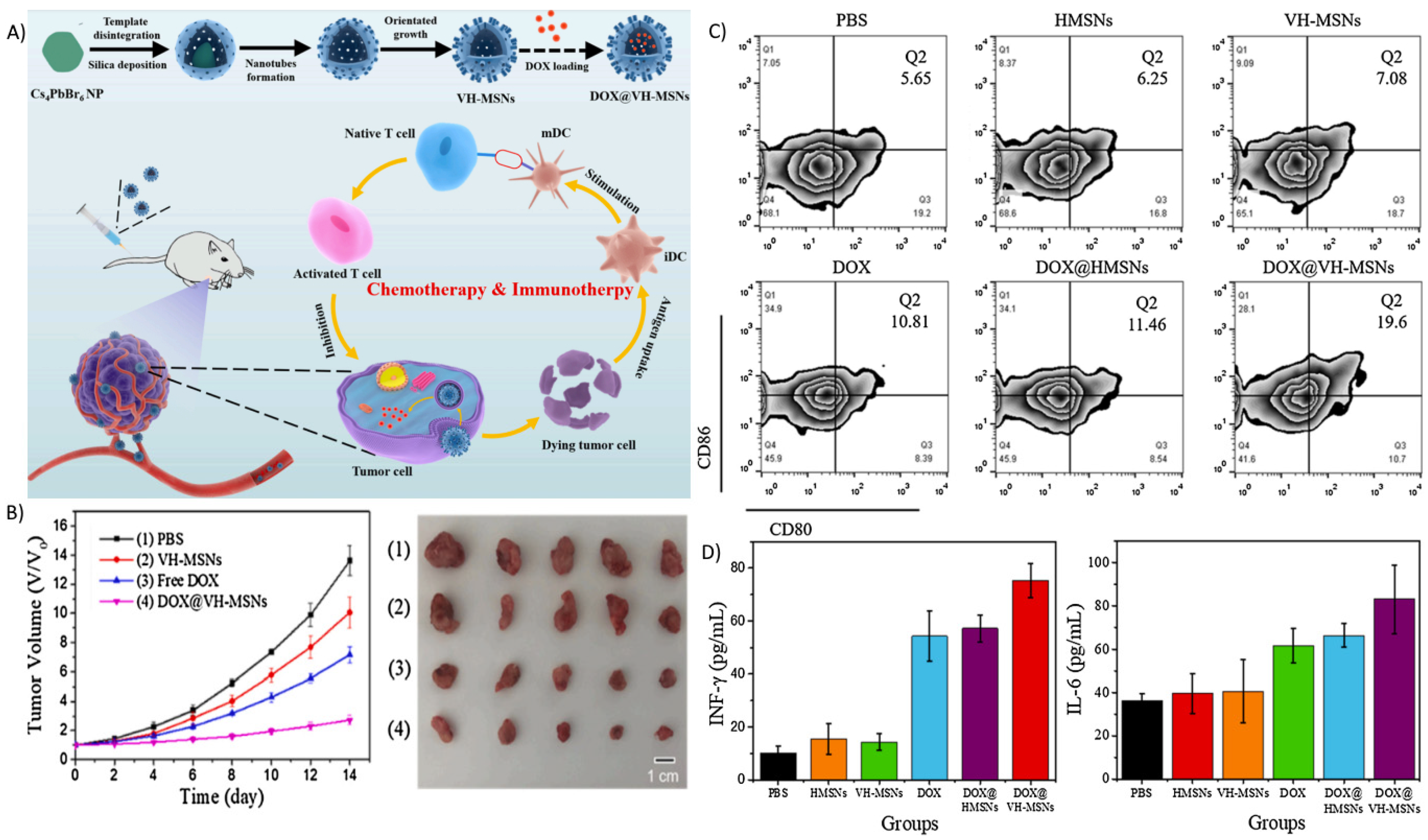 Biosensors 12 00109 g008 550