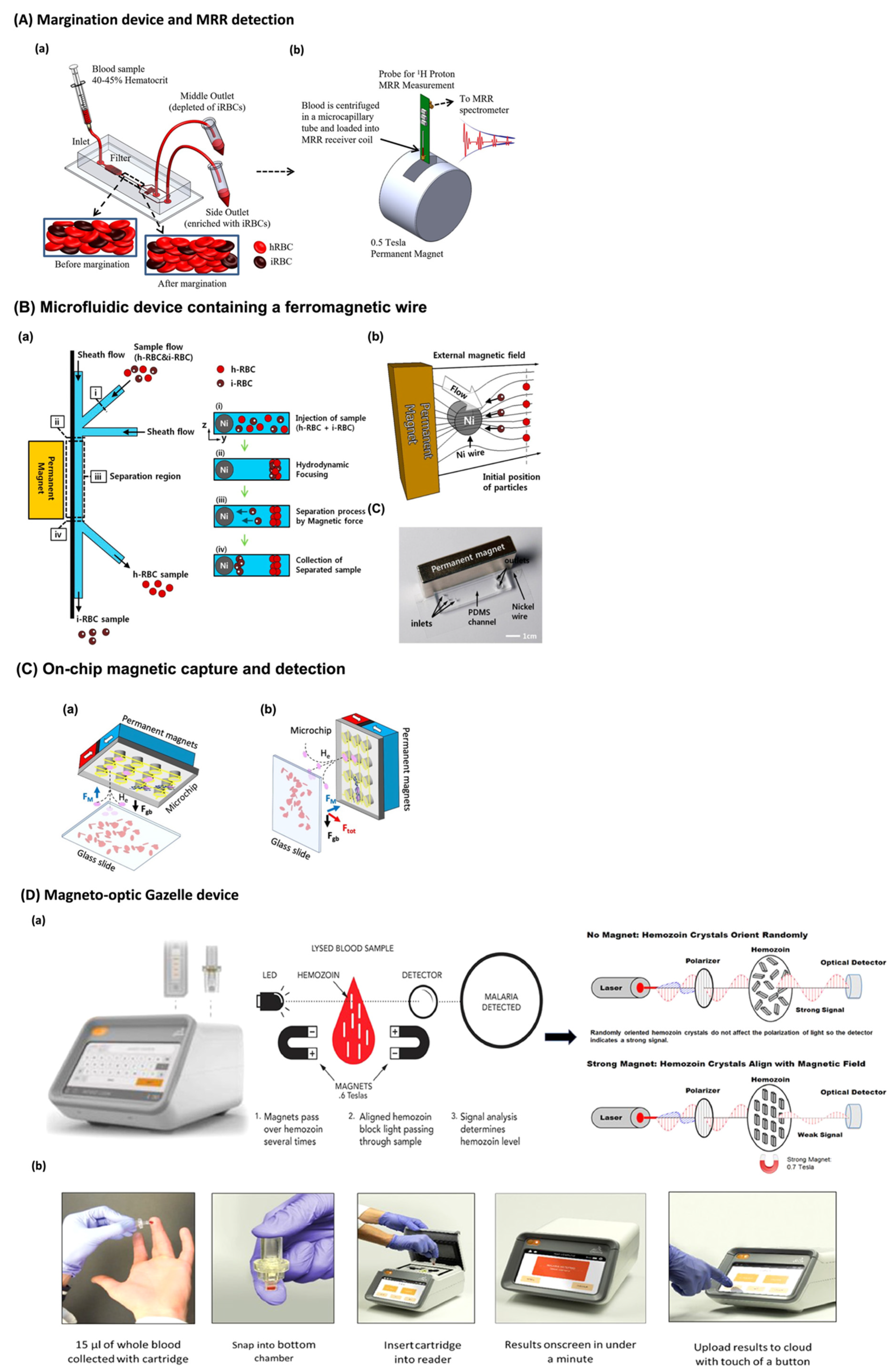 Biosensors 12 00110 g003