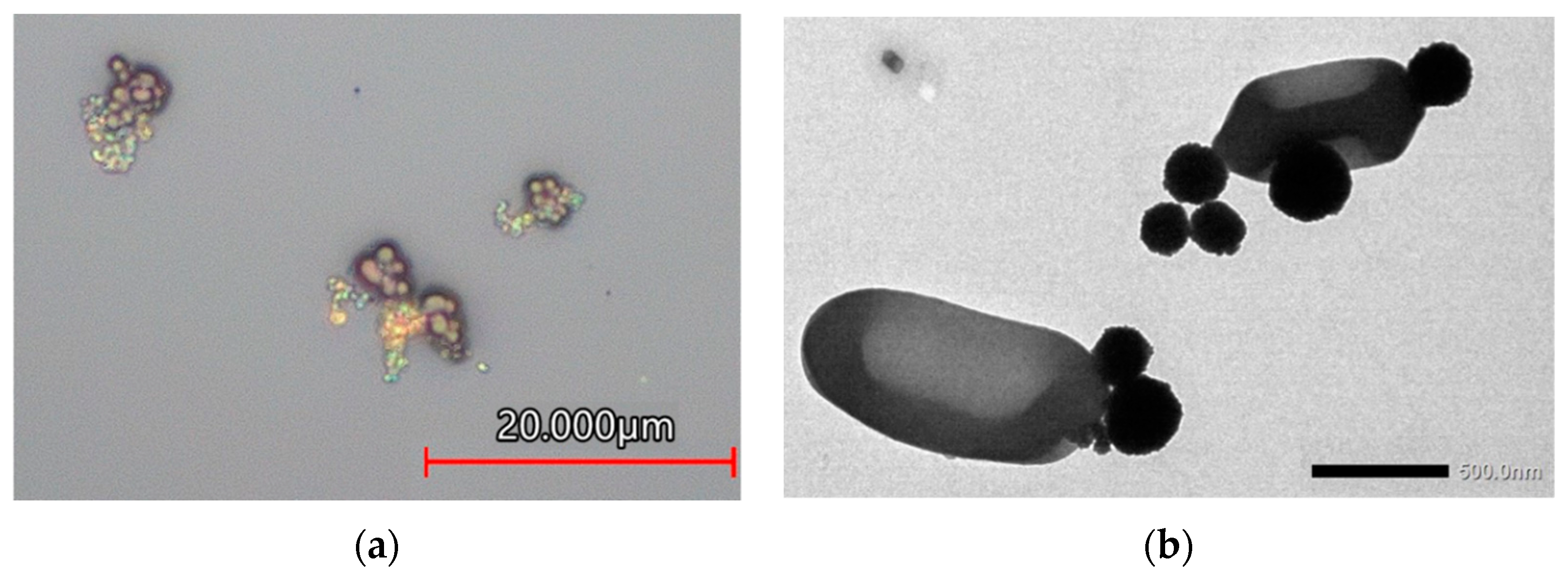 Biosensors 12 00112 g001 550