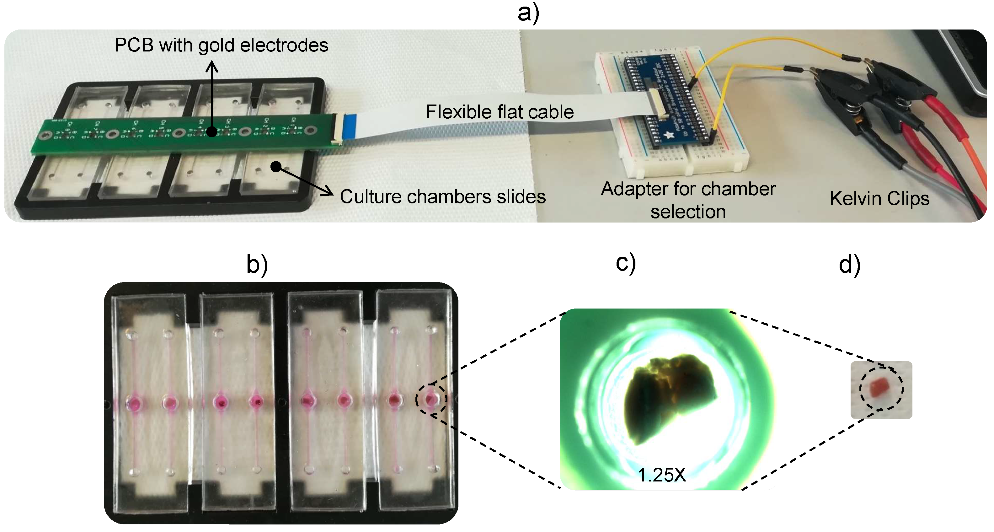 Biosensors, Free Full-Text