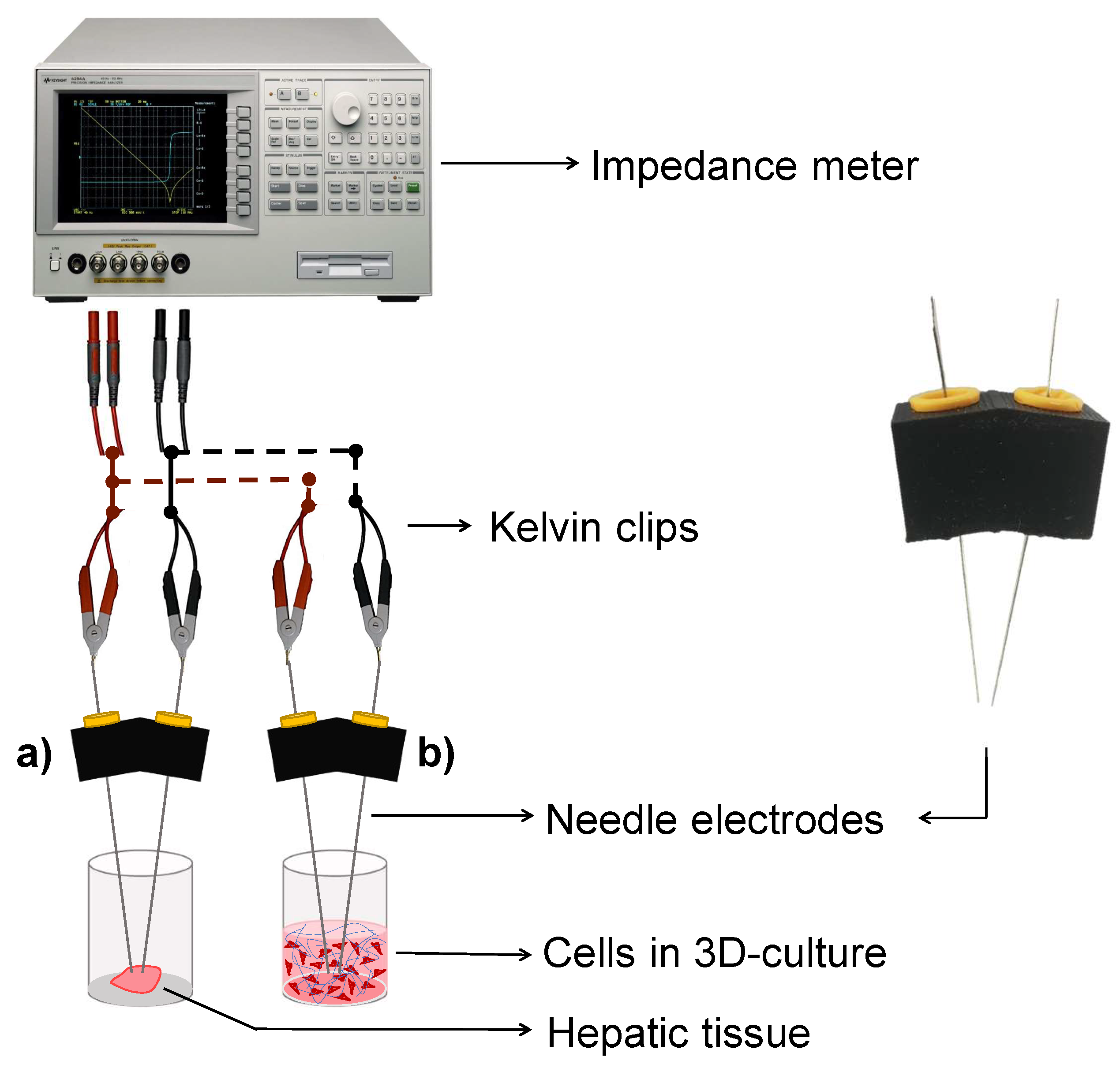 Biosensors 12 00116 g0a2