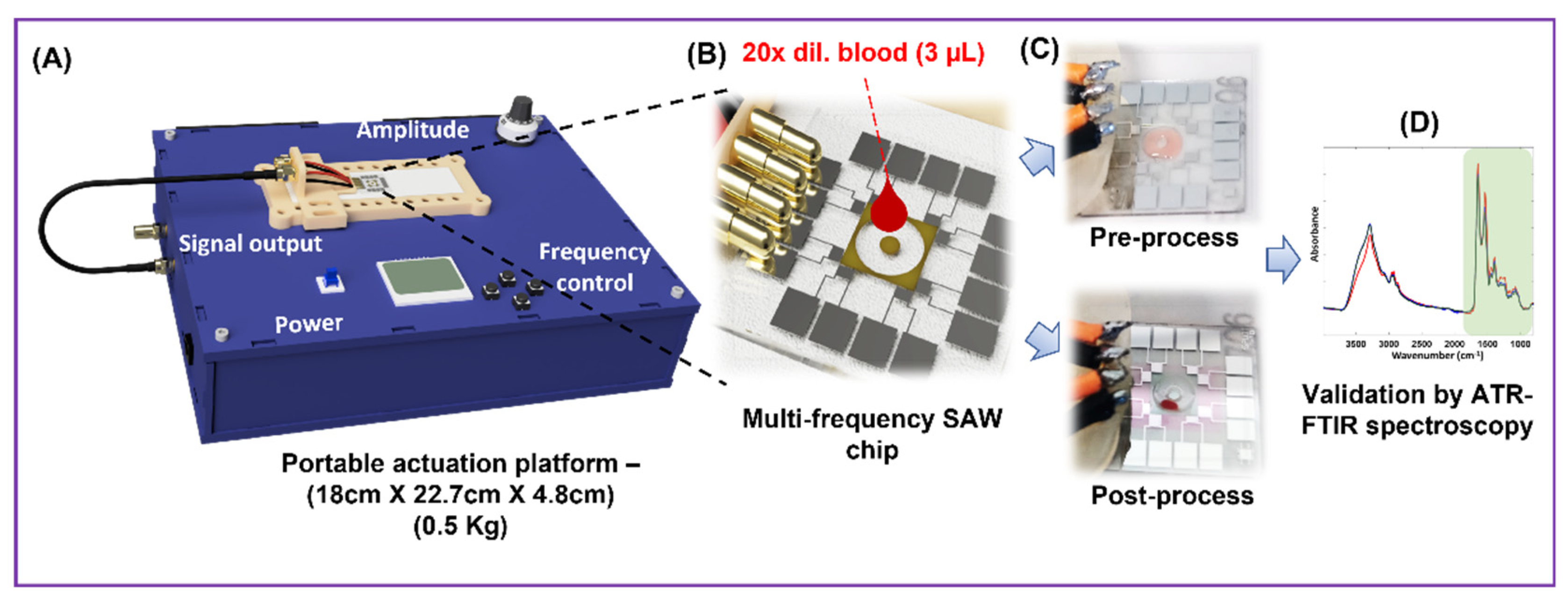 Biosensors 12 00119 g001