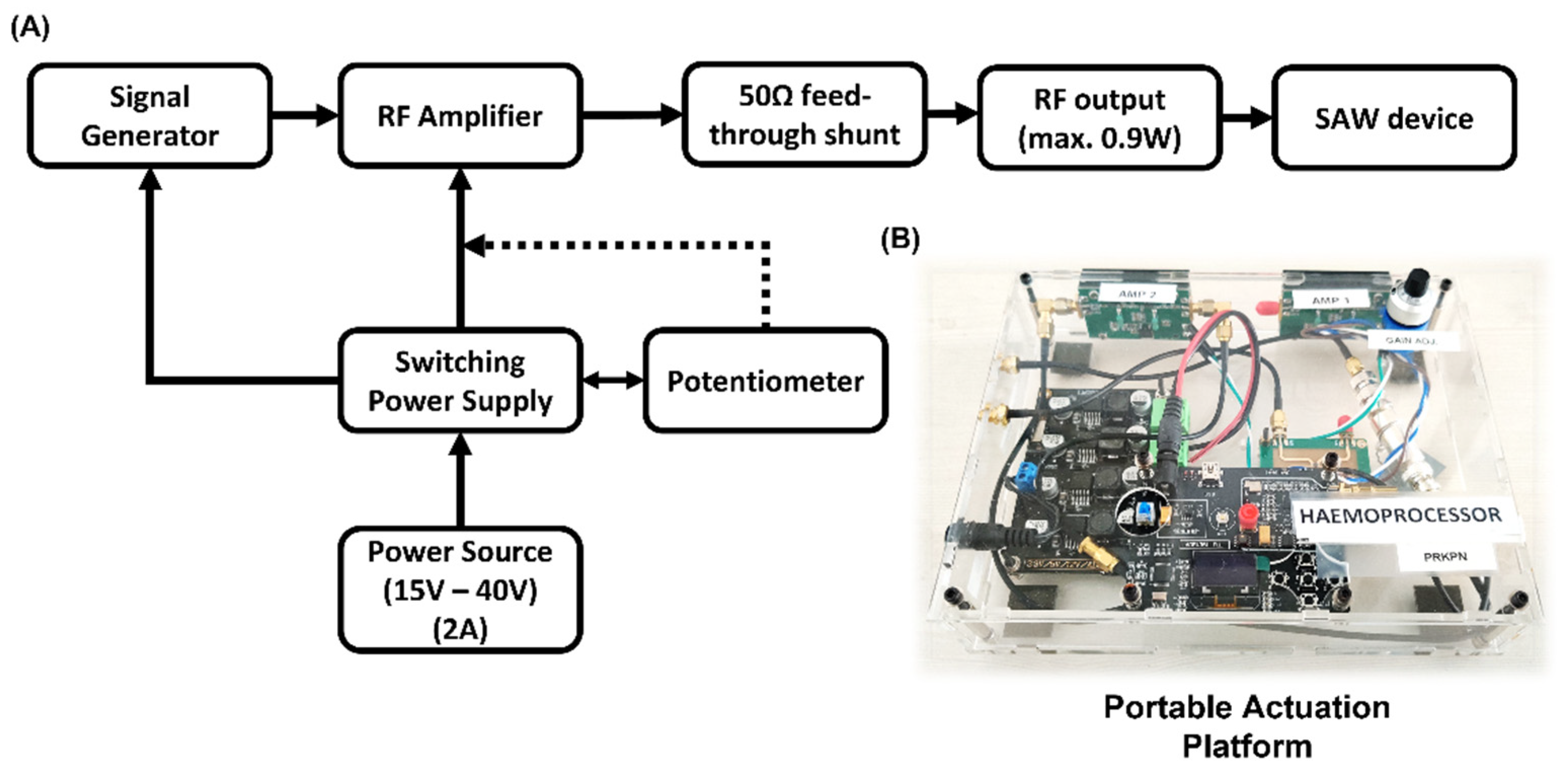 Biosensors 12 00119 g003