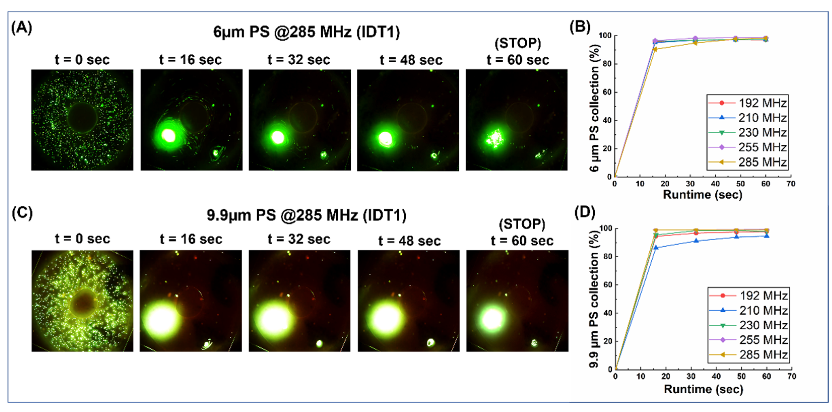 Biosensors 12 00119 g004