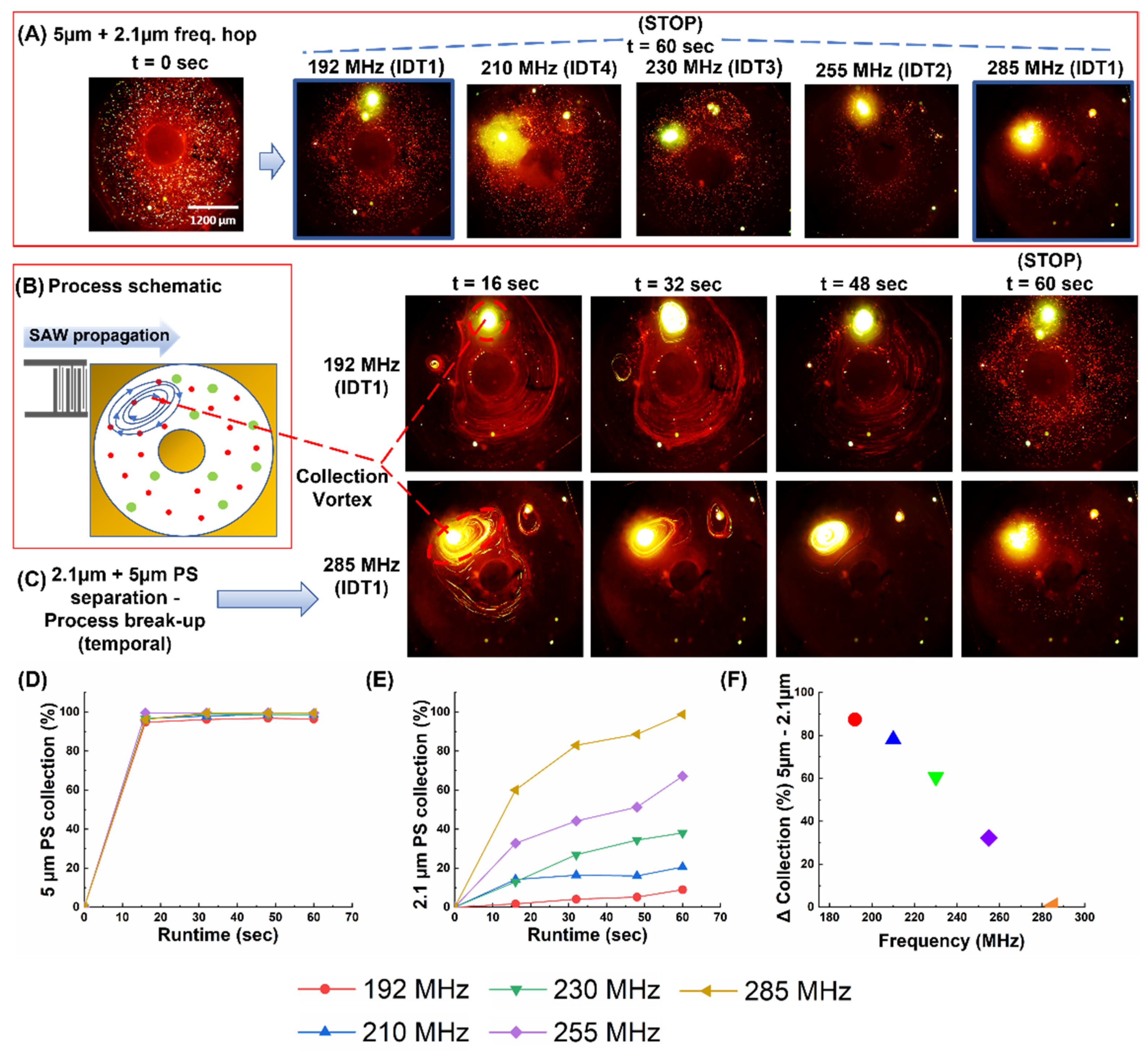 Biosensors 12 00119 g005