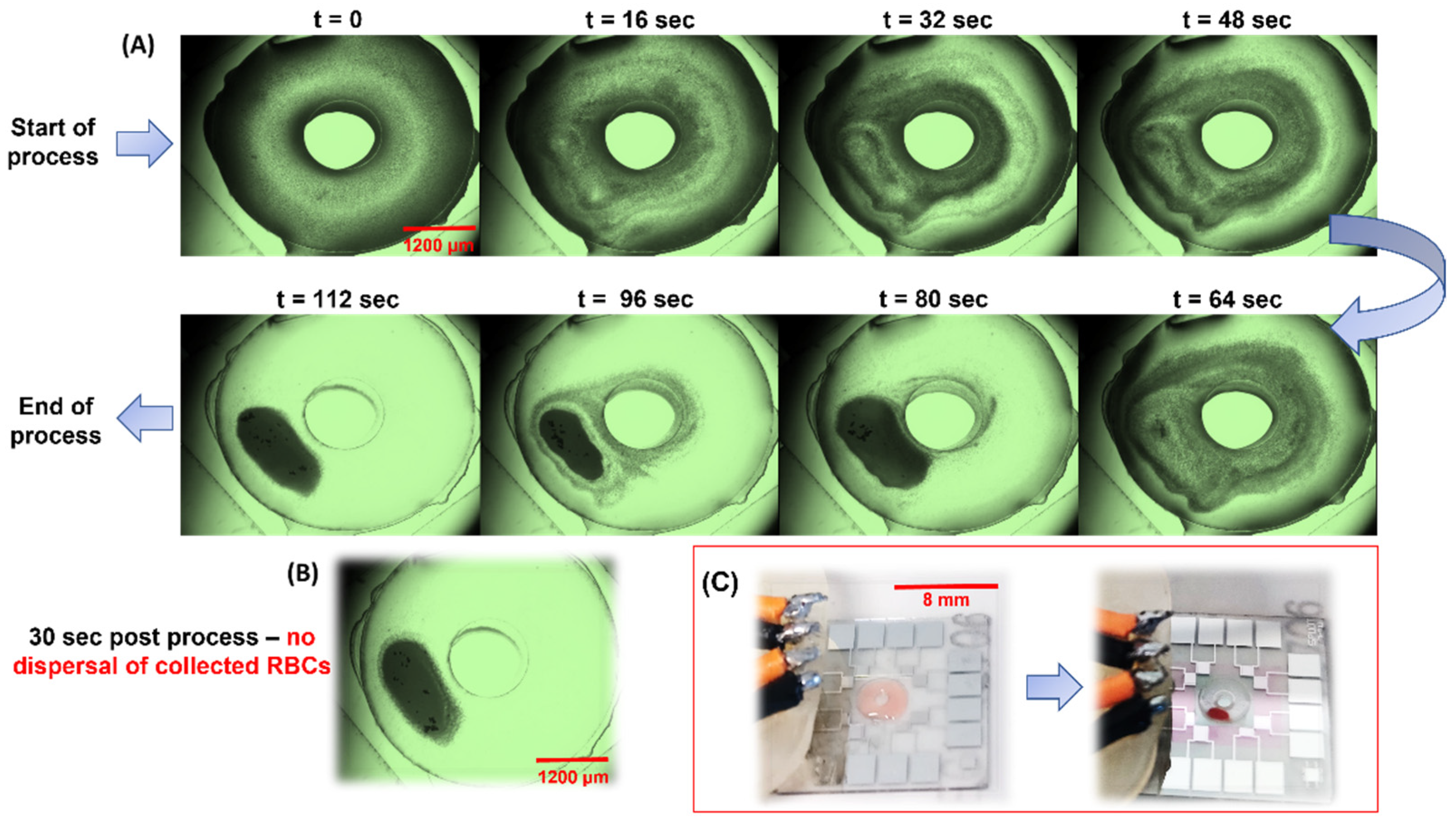 Biosensors 12 00119 g006