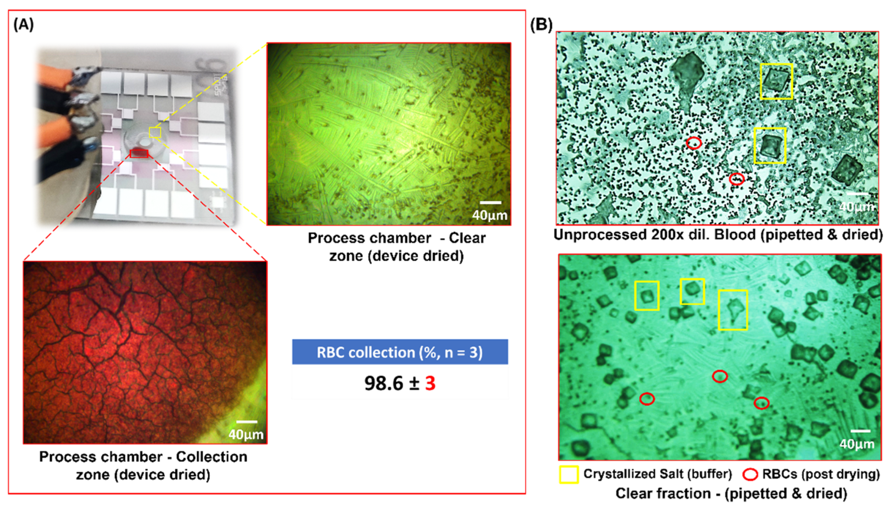 Biosensors 12 00119 g007
