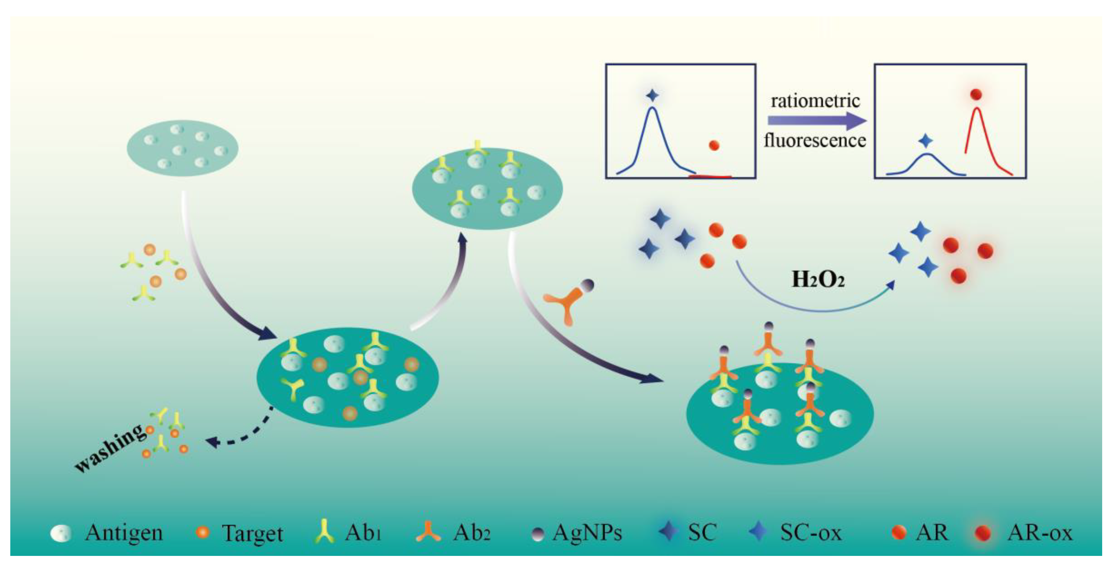 Biosensors 12 00125 sch001