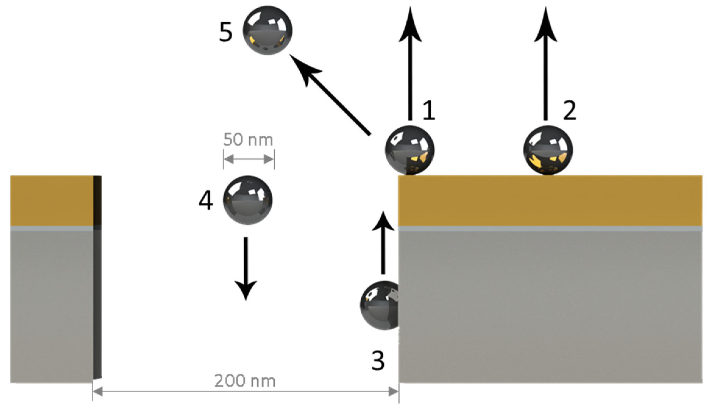 Biosensors 12 00128 g003 550