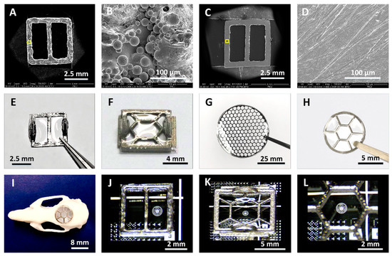 A Hybrid Titanium-Softmaterial, High-Strength, Transparent