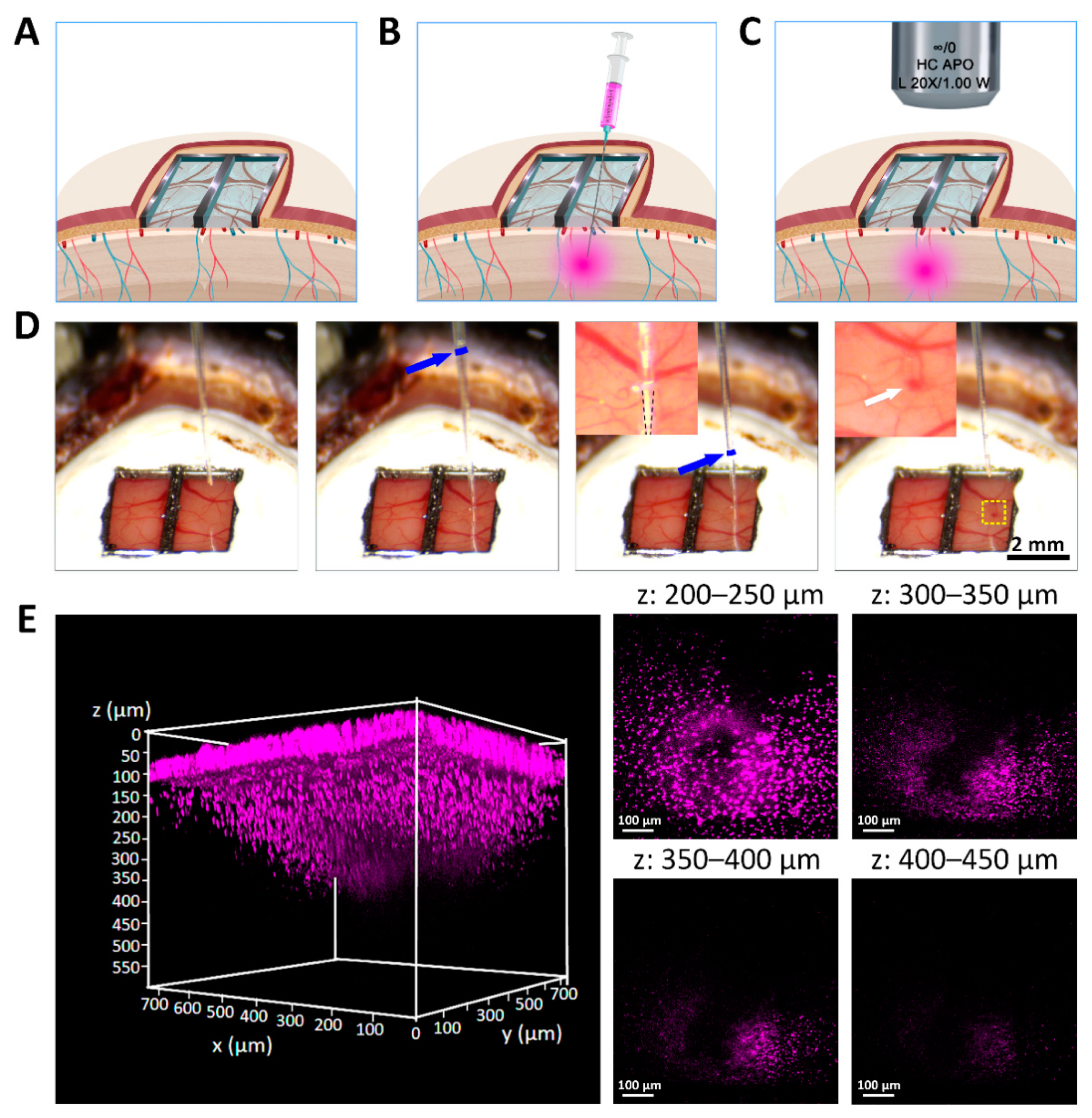 Biosensors 12 00129 g007 550