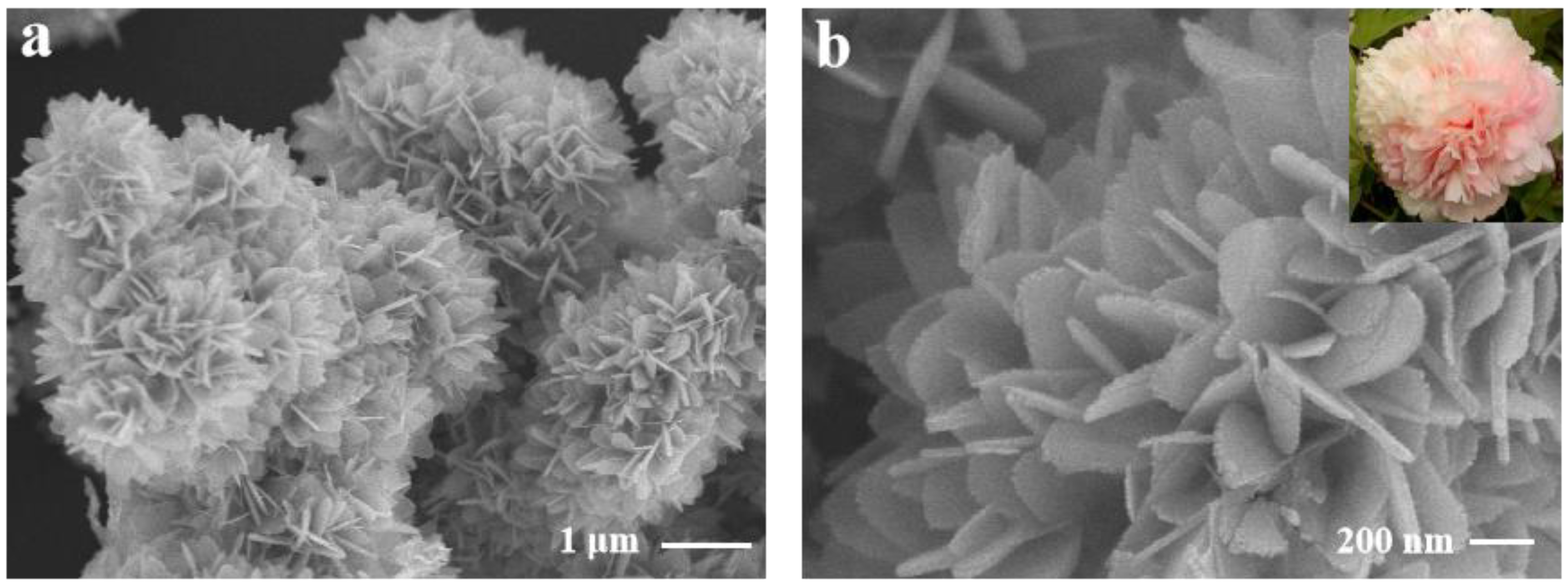 Biosensors 12 00130 g002 Biosensors 12 00130 g002