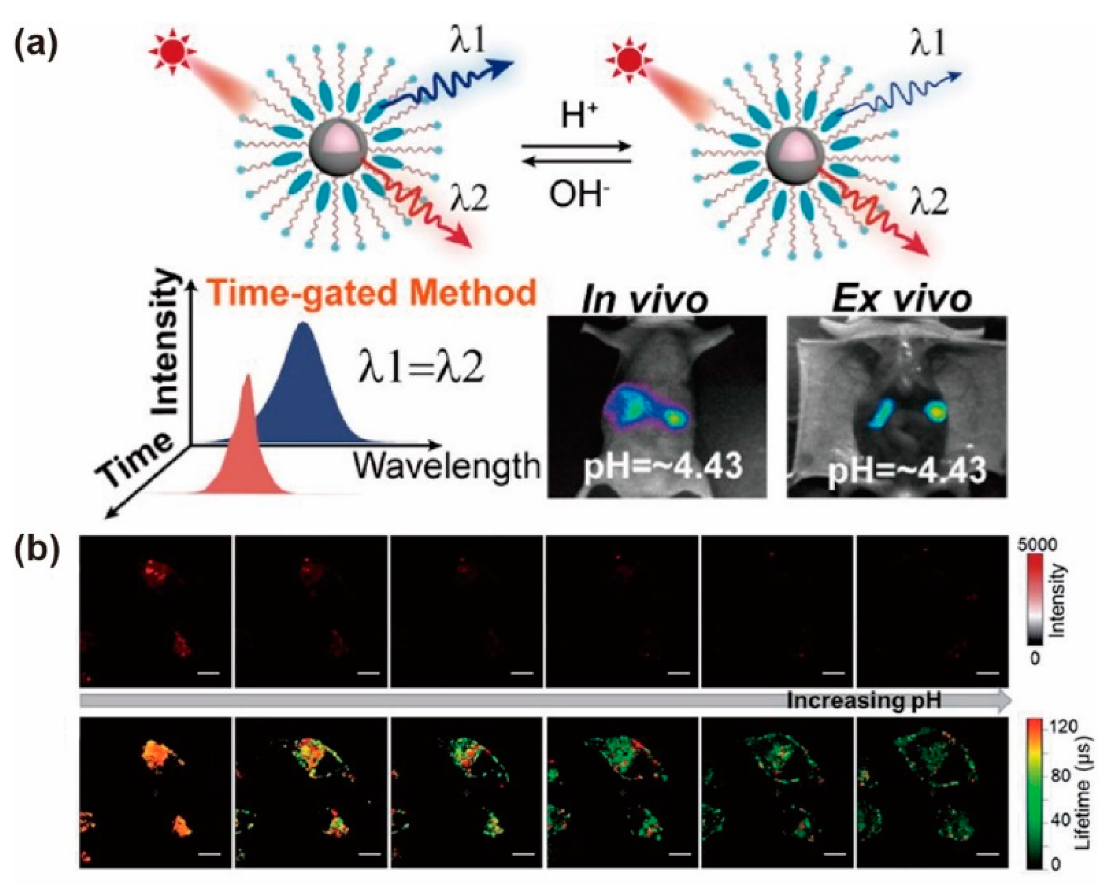 Biosensors 12 00131 g013 550