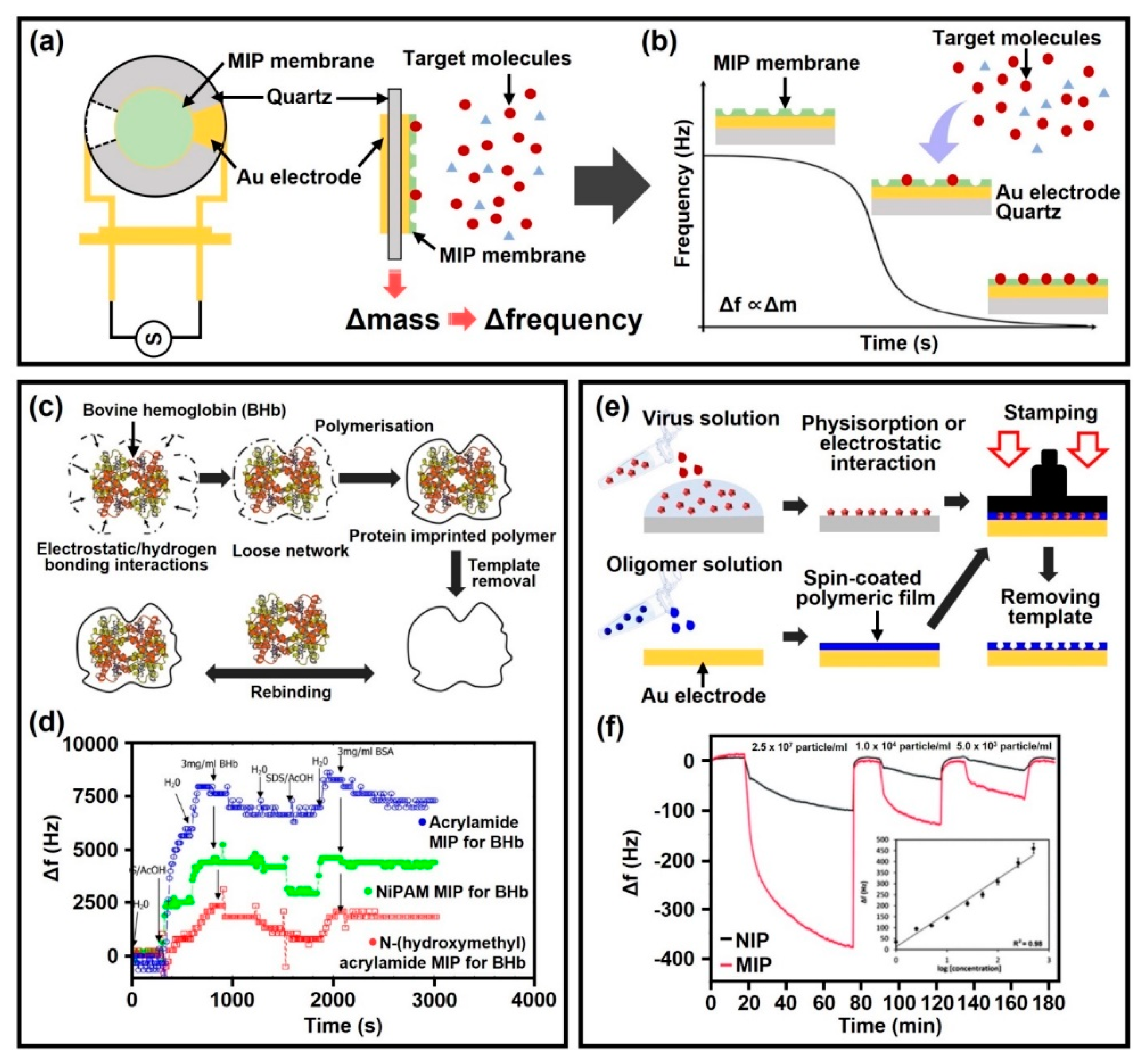 Biosensors 12 00136 g004 550