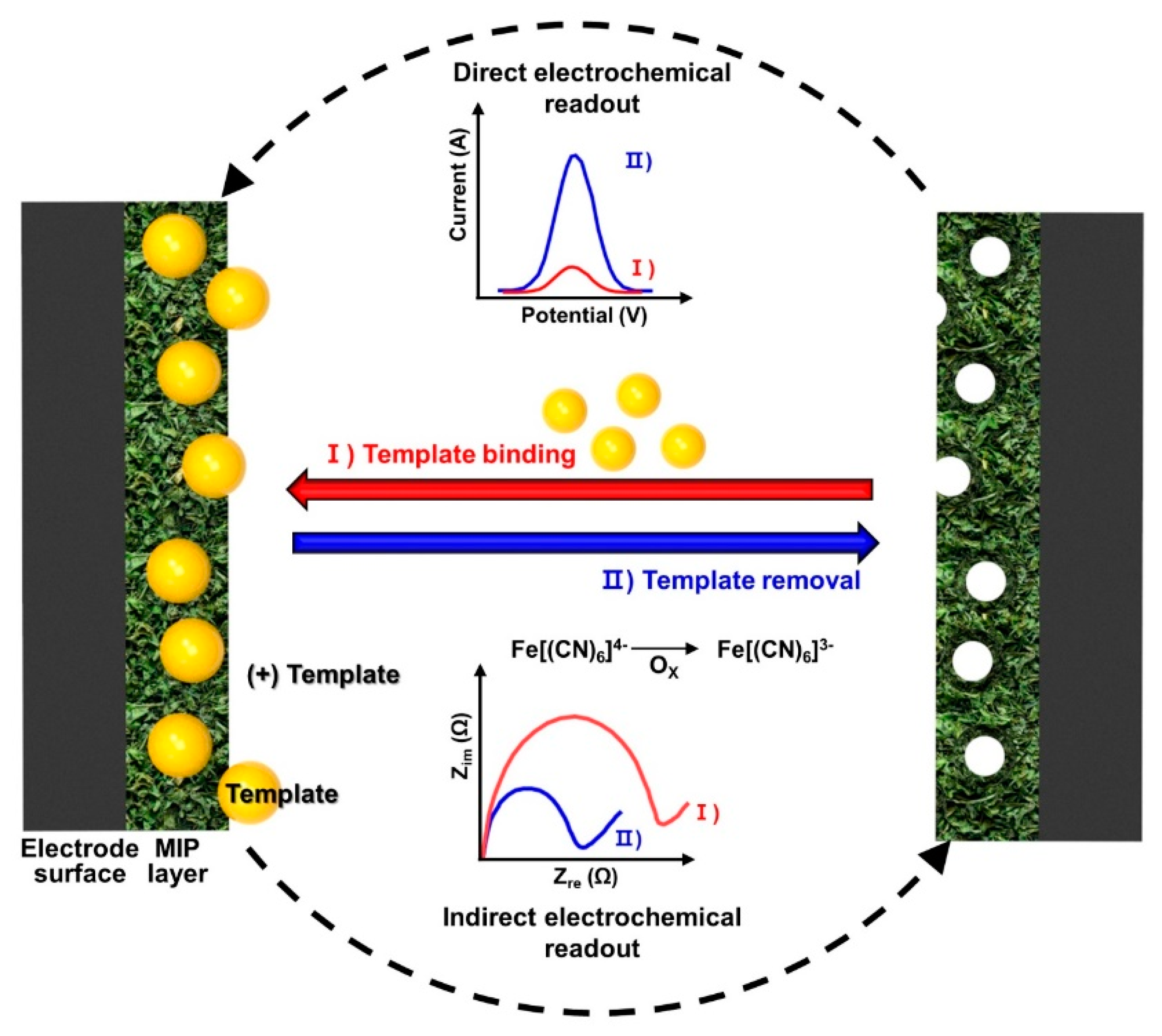 Biosensors 12 00136 g005 550