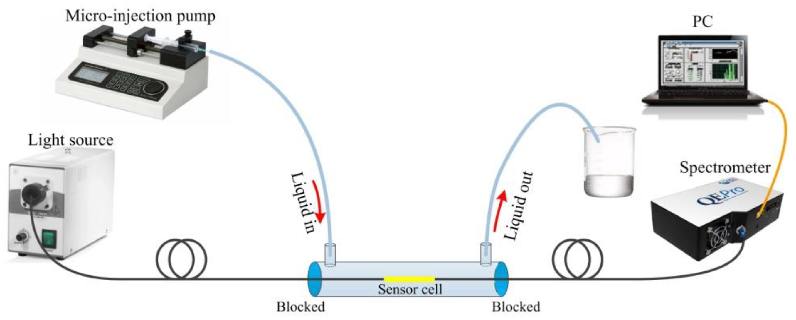Biosensors 12 00141 g006