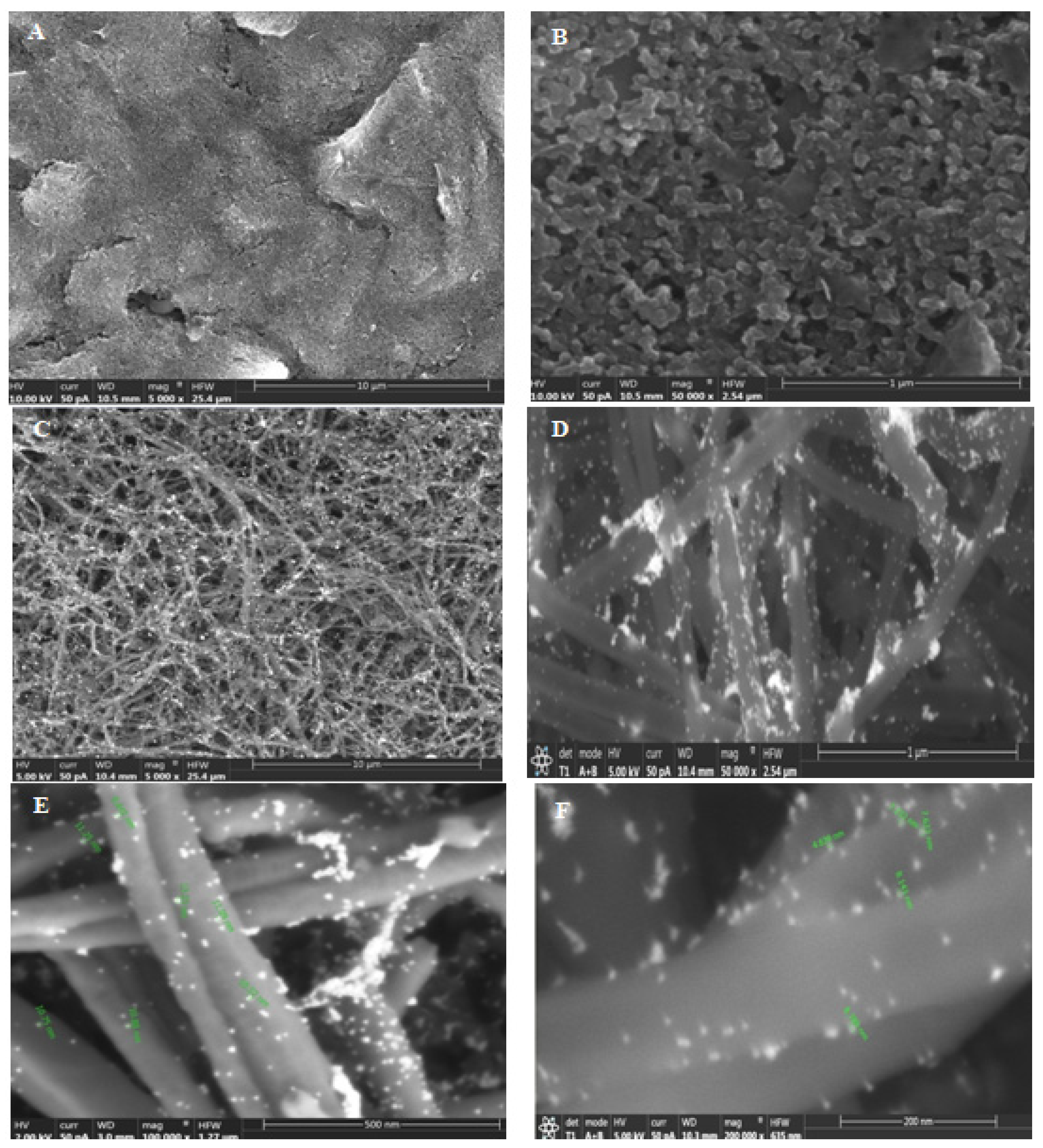 Biosensors 12 00142 g001