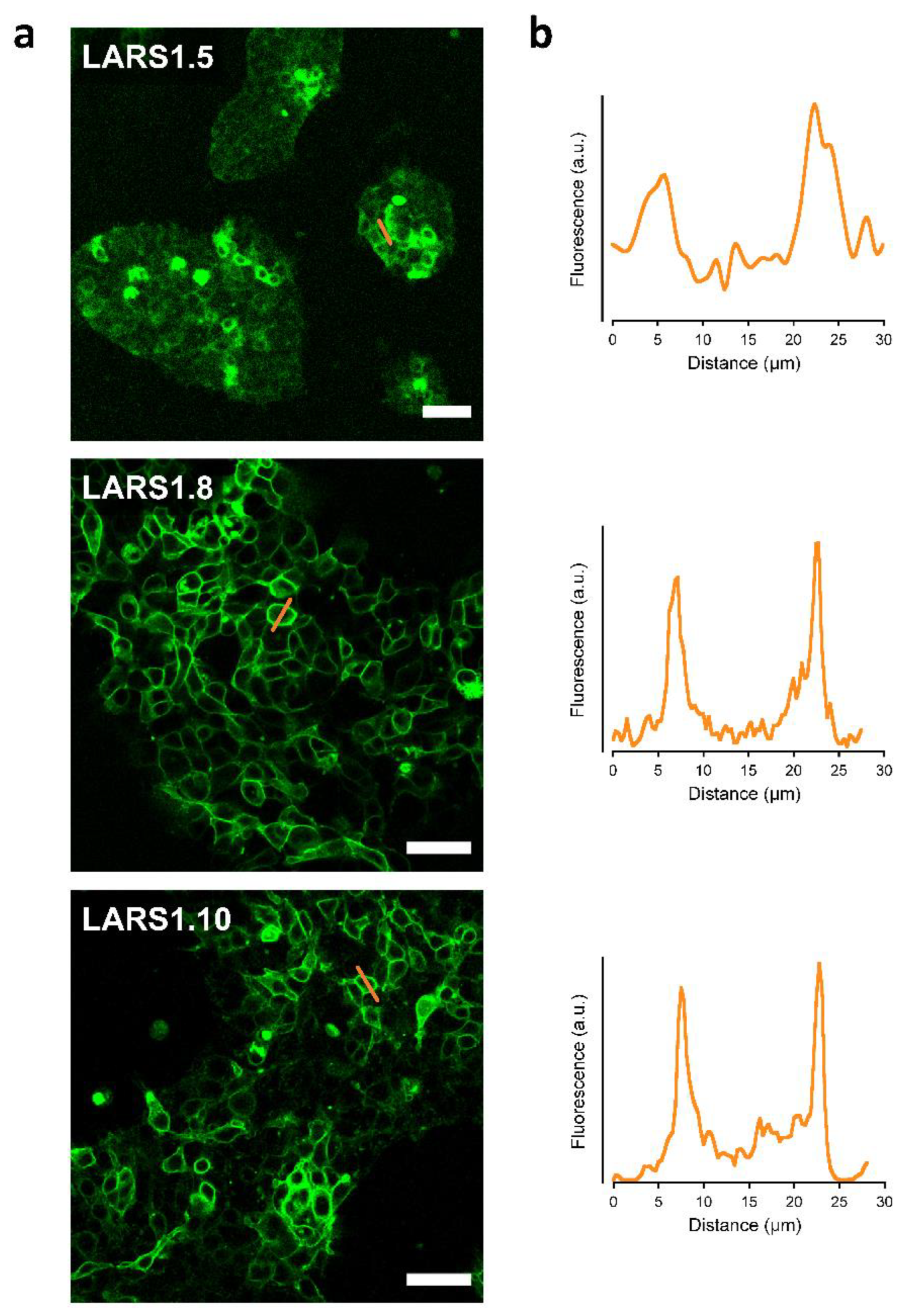 Biosensors 12 00143 g001