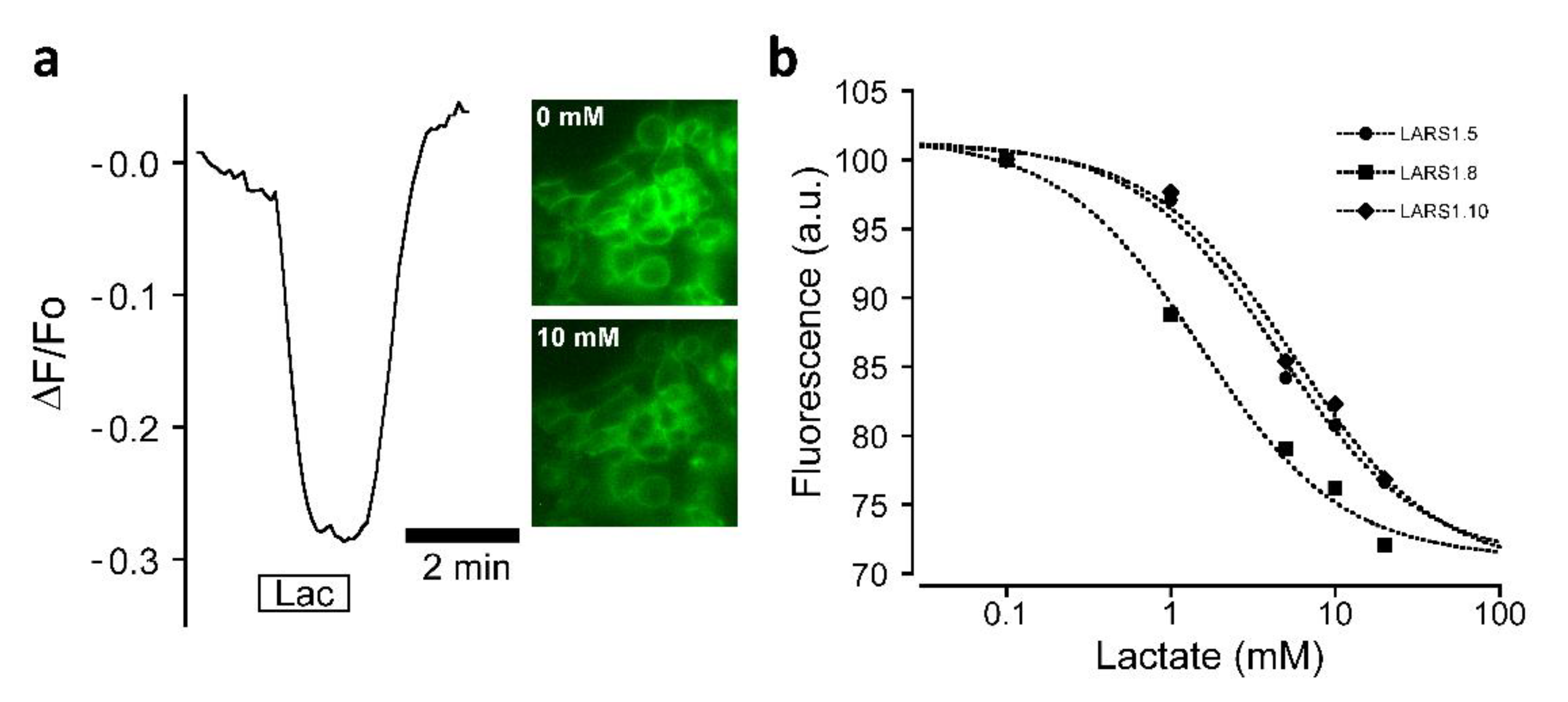 Biosensors 12 00143 g005