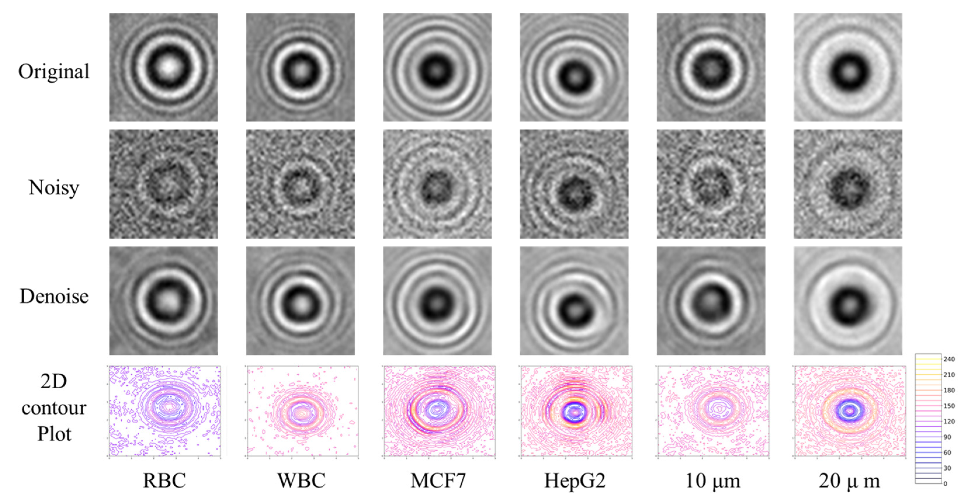 Biosensors 12 00144 g002 Biosensors 12 00144 g002