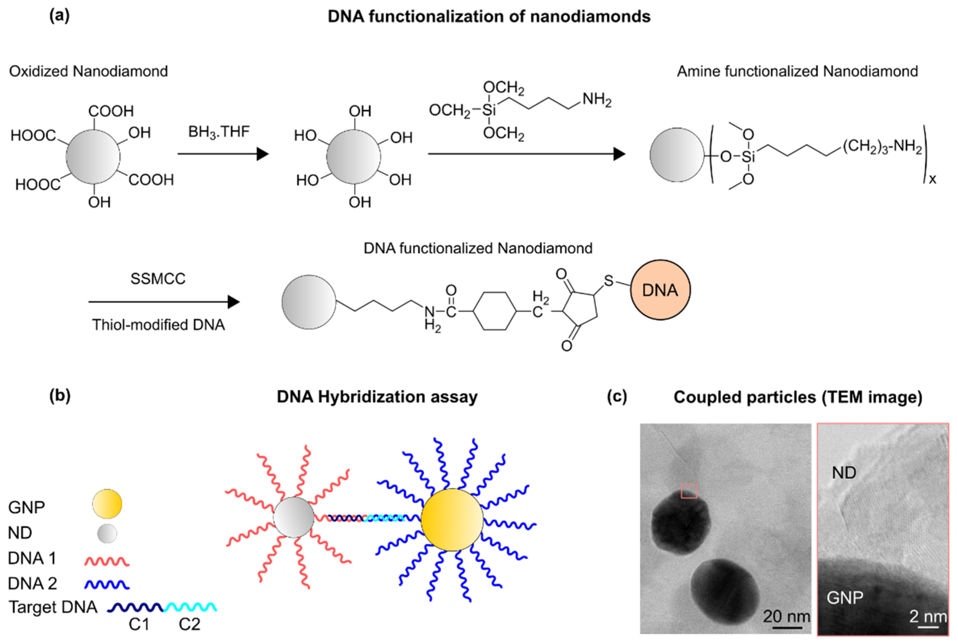 Biosensors 12 00148 g001