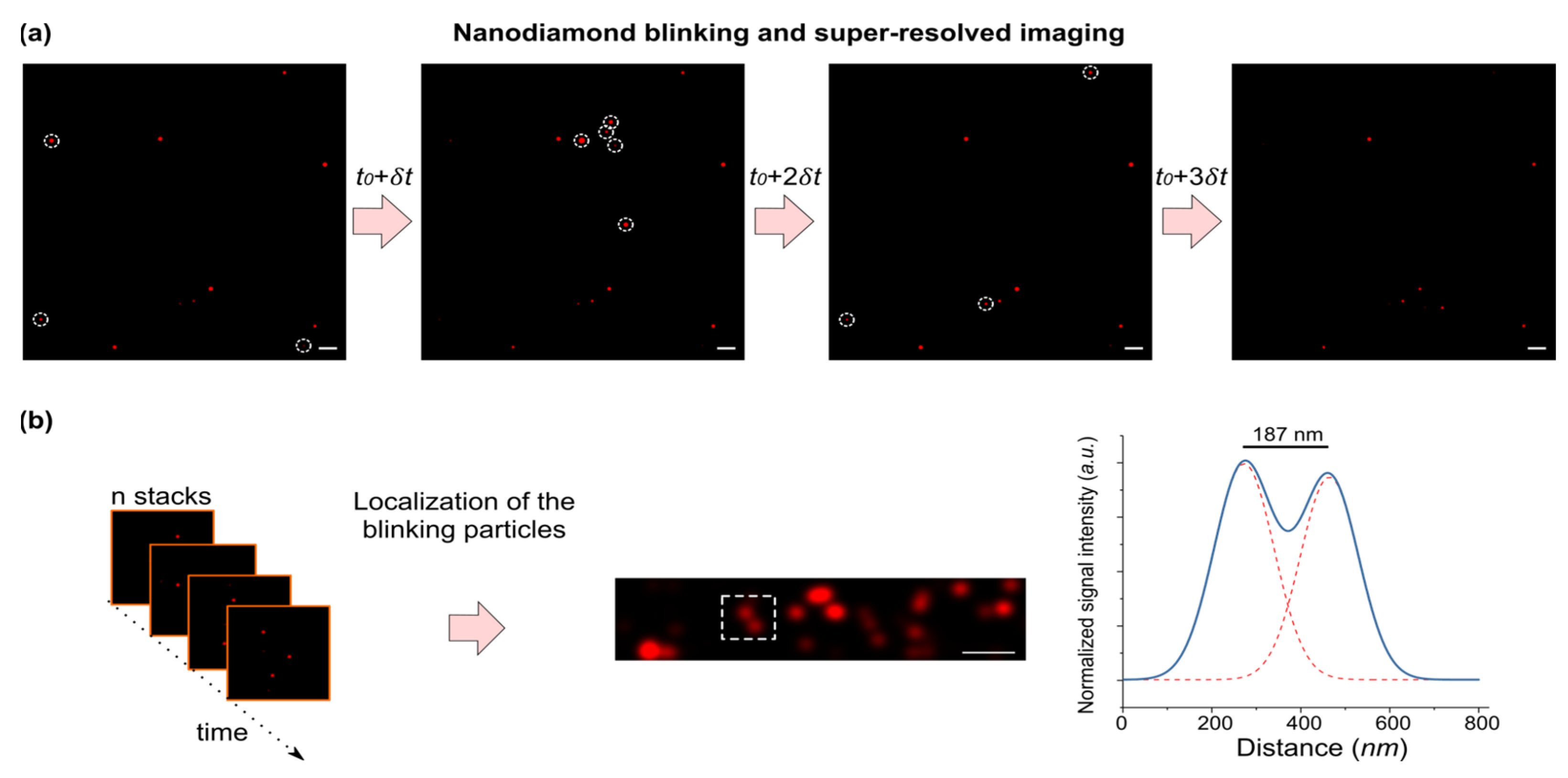Biosensors 12 00148 g004