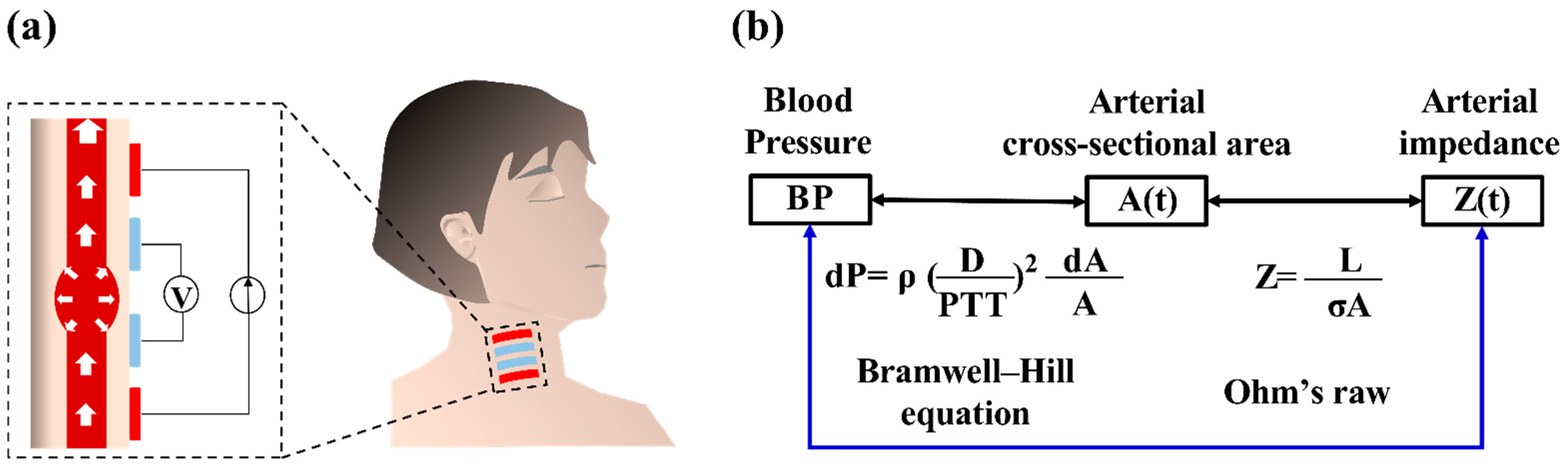 Biosensors 12 00150 g001 Biosensors 12 00150 g001