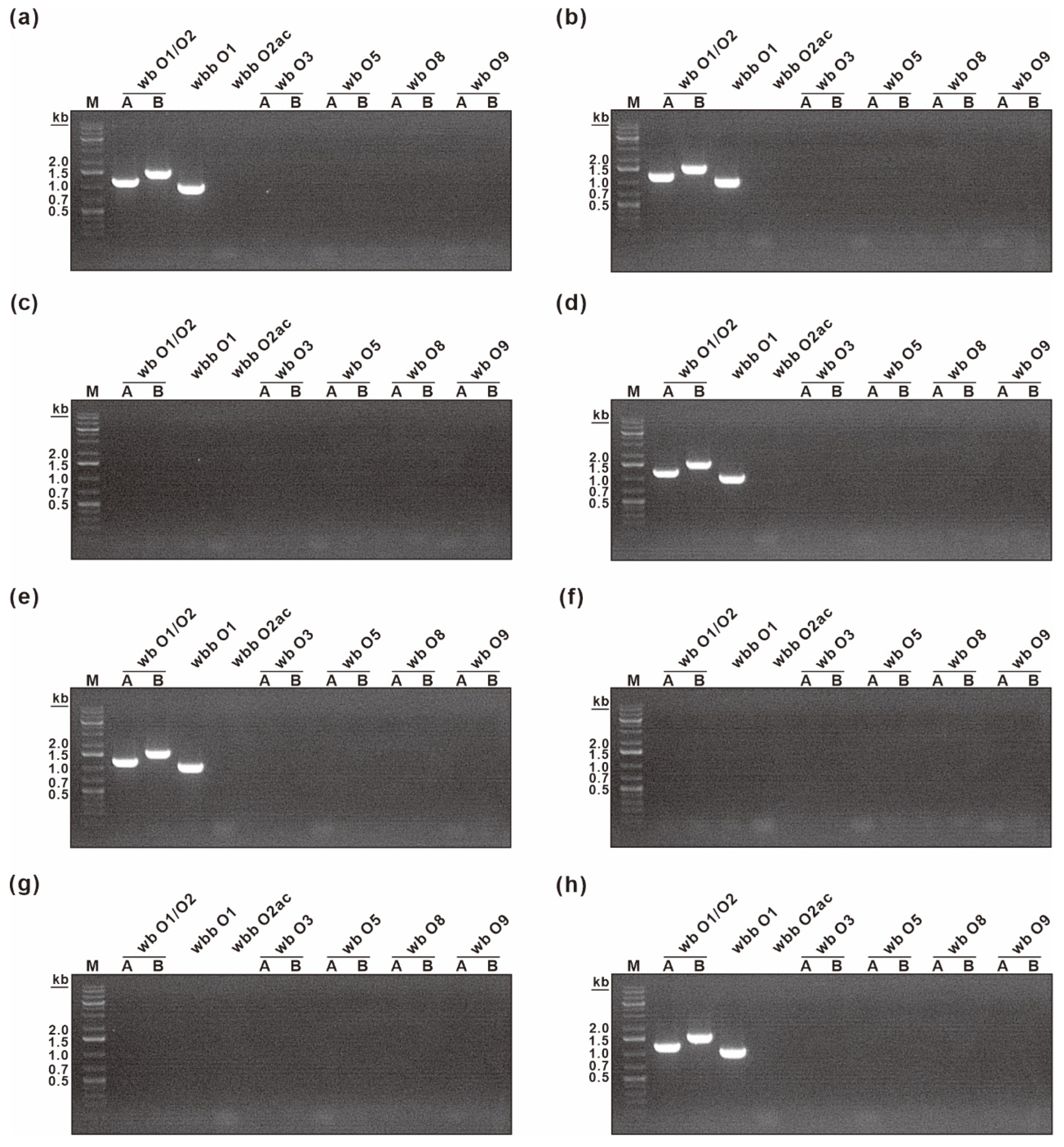 Biosensors 12 00153 g006 Biosensors 12 00153 g006